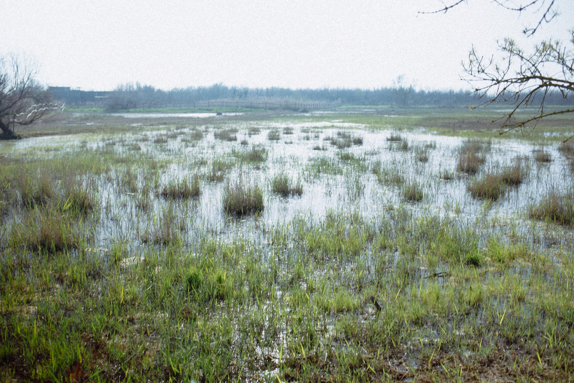 TRIP TO THE MOUNTAINS. Marina Kálcheva – Photographer & Visual Artist in Barcelona