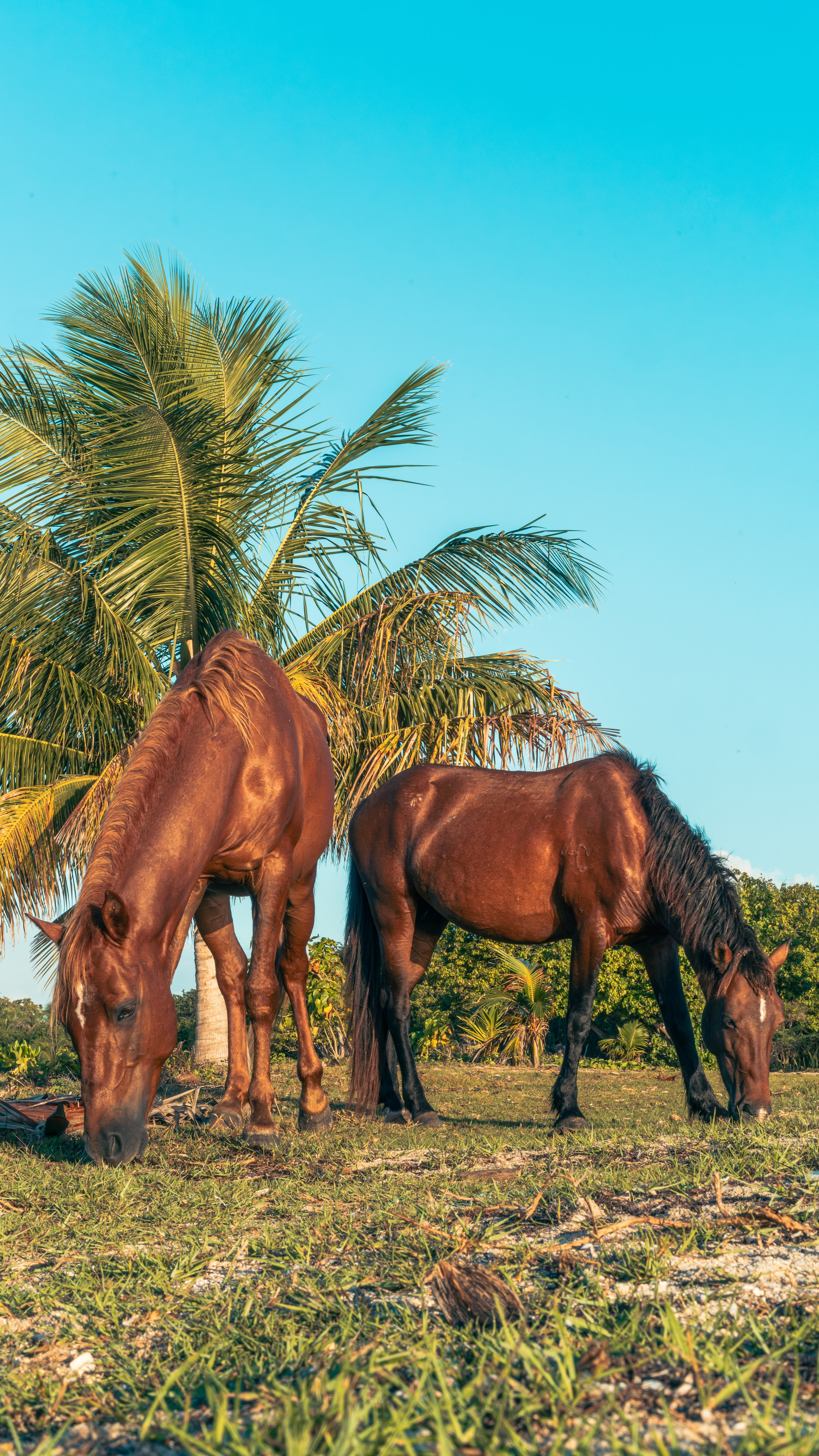Natural Light. Manny Cruzado Photography