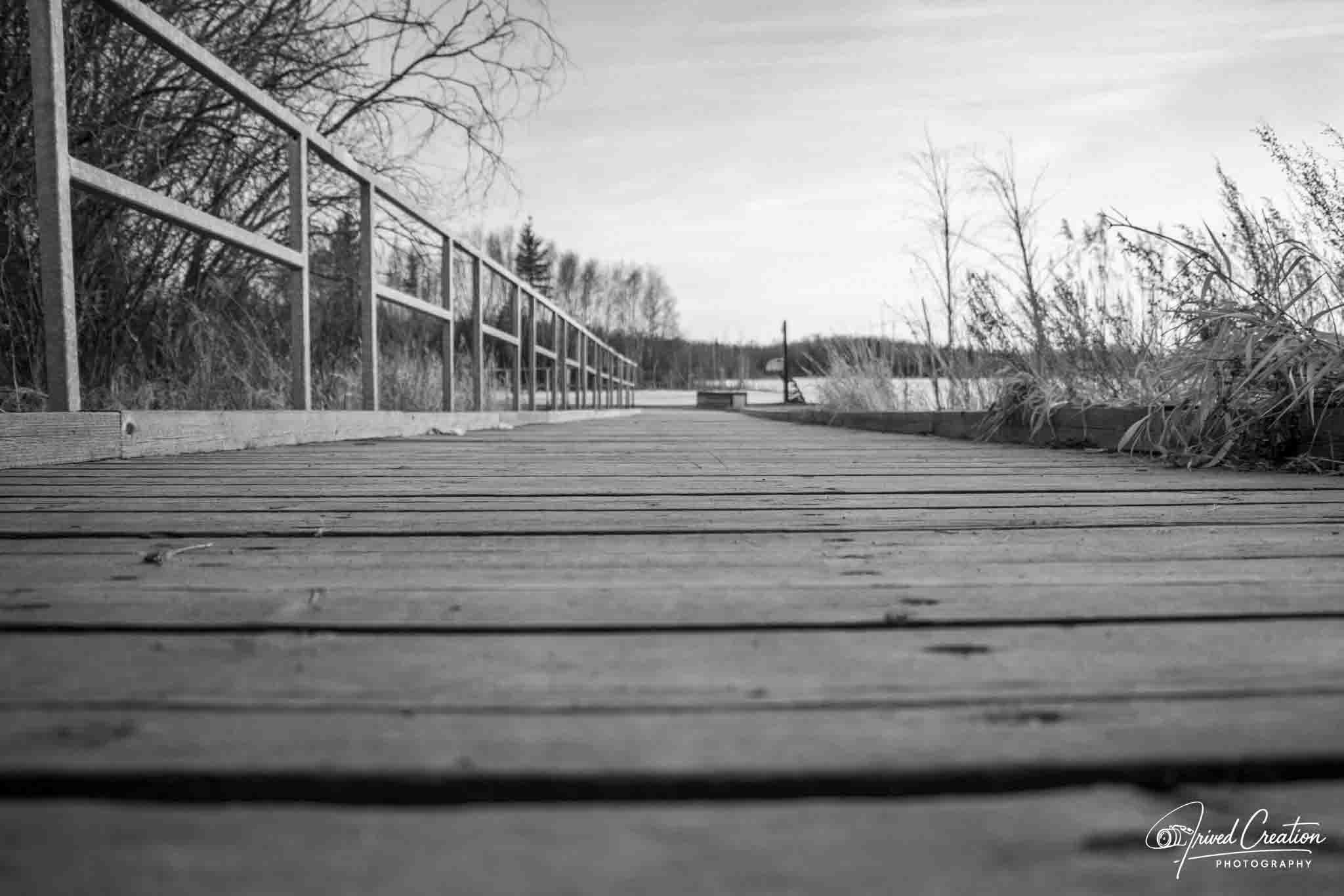 Landscape & Nature. Prived Creation