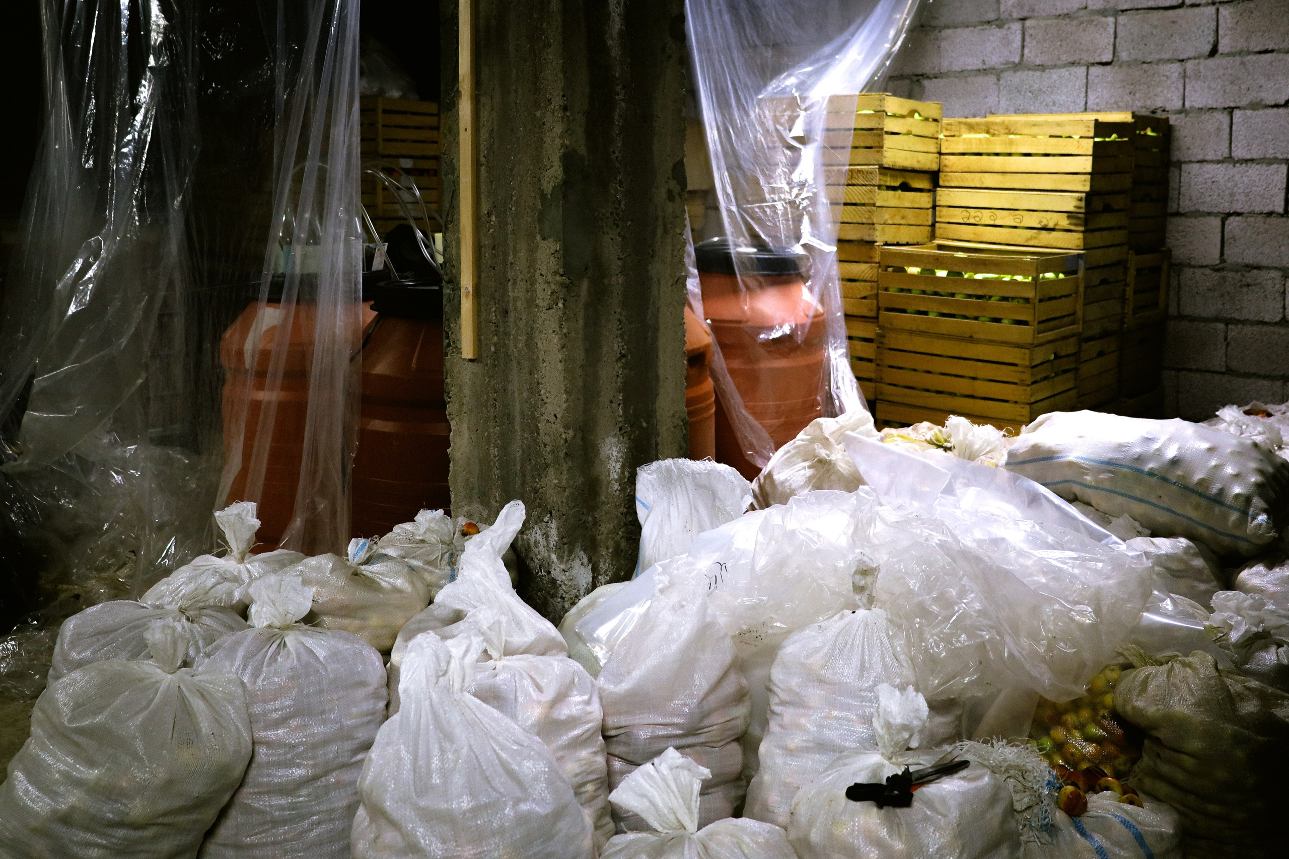 Factory reportage (hand-crafted cider). Asmikiam