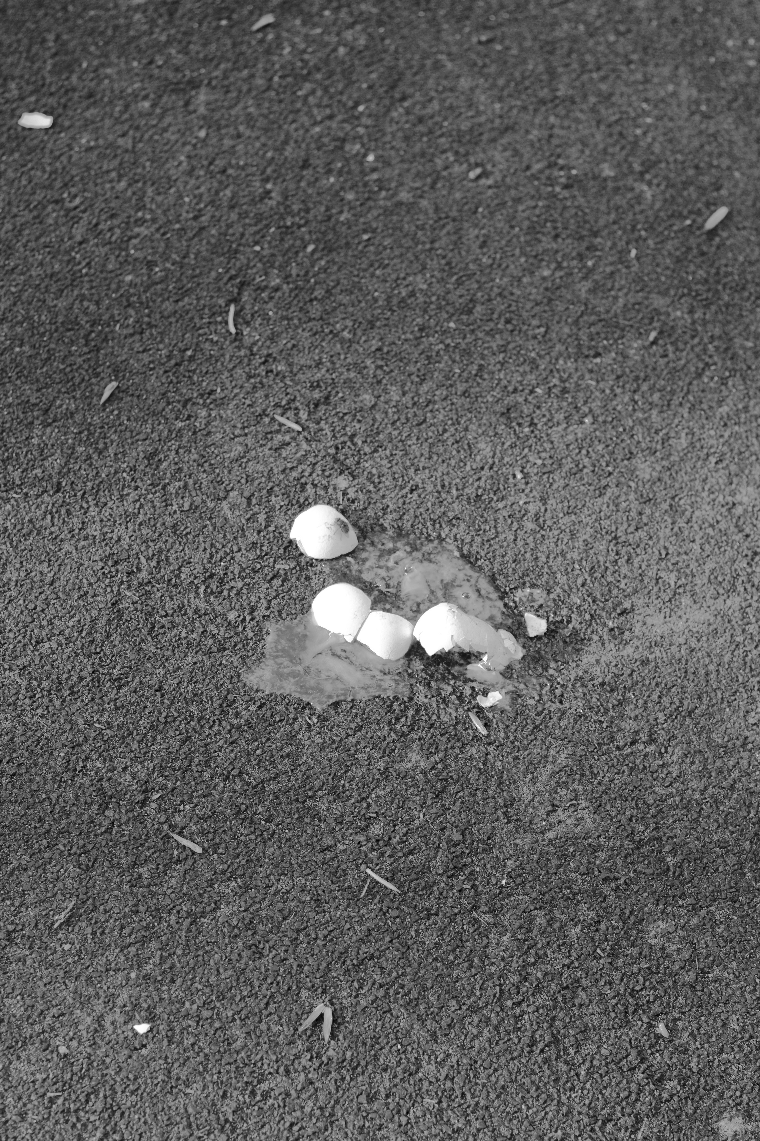 Кто сказал, что будет легко (в процессе). Екатерина Федорова