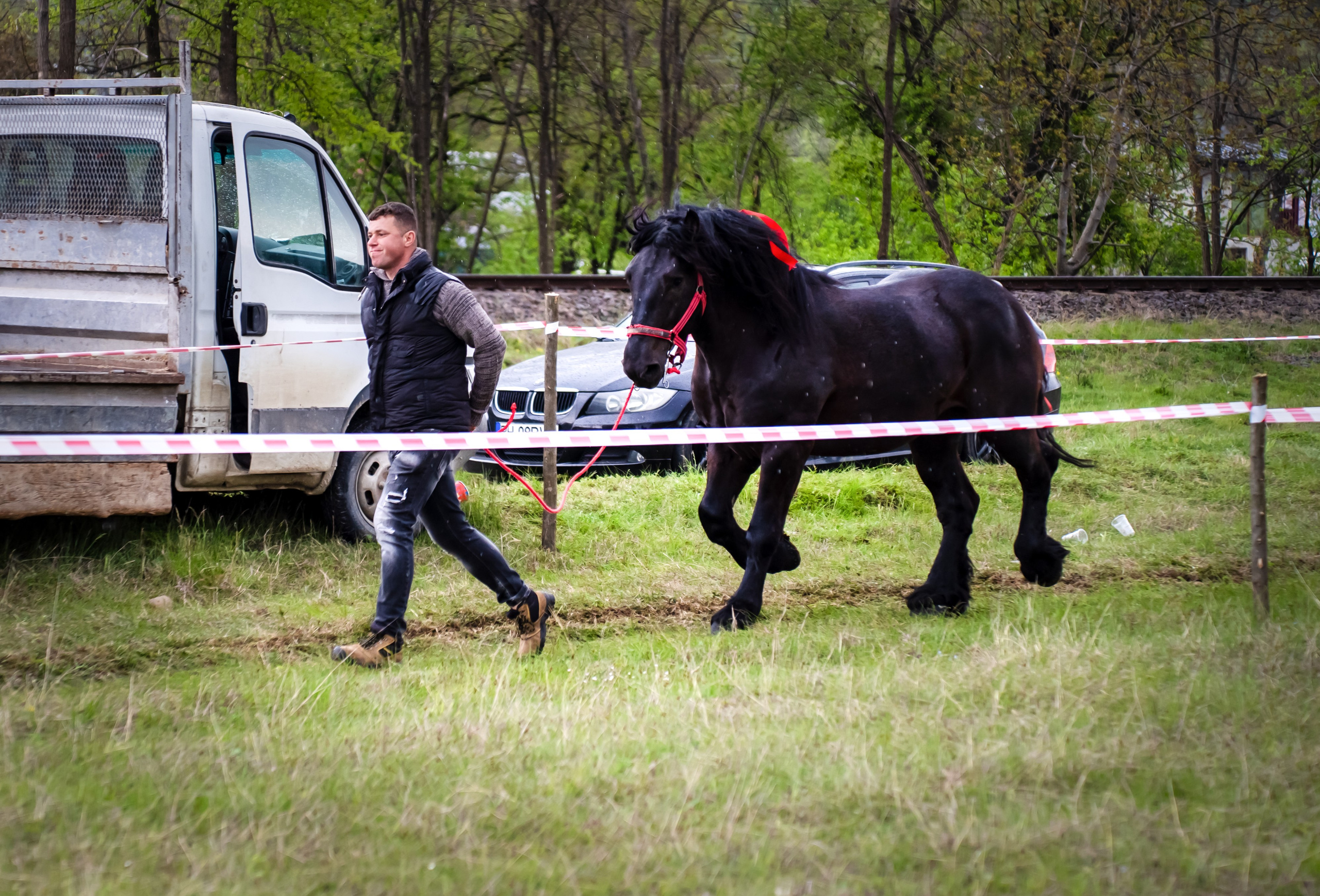 Concurs Ecvestru Vărbilău ediția a 4-a. Mihai Alexandra Events