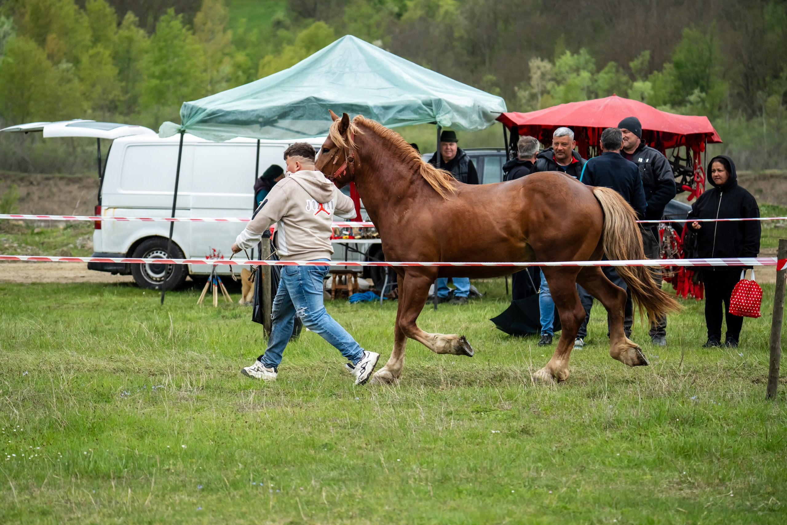 Concurs Ecvestru Vărbilău ediția a 4-a. Mihai Alexandra Events