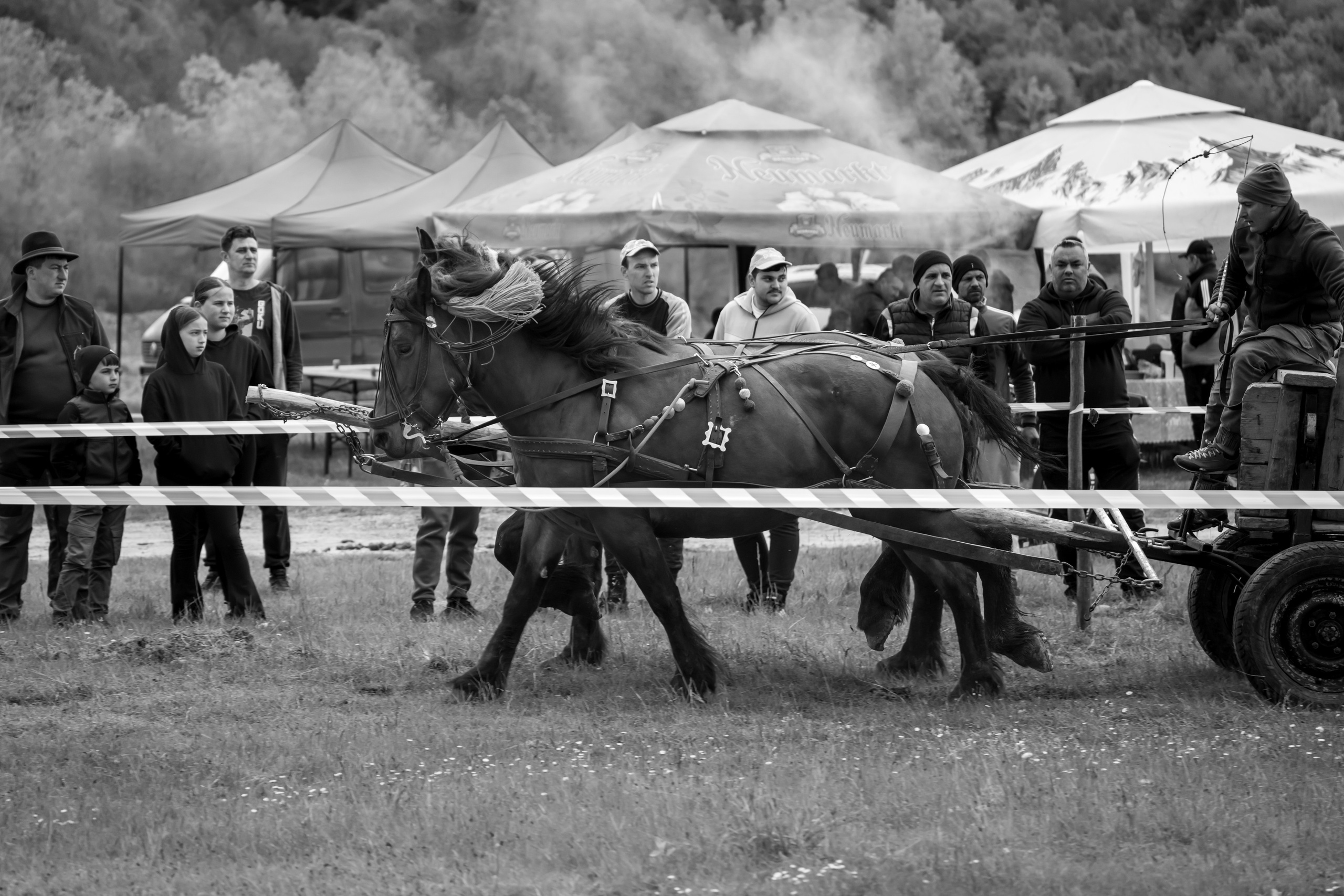 Concurs Ecvestru Vărbilău ediția a 4-a. Mihai Alexandra Events