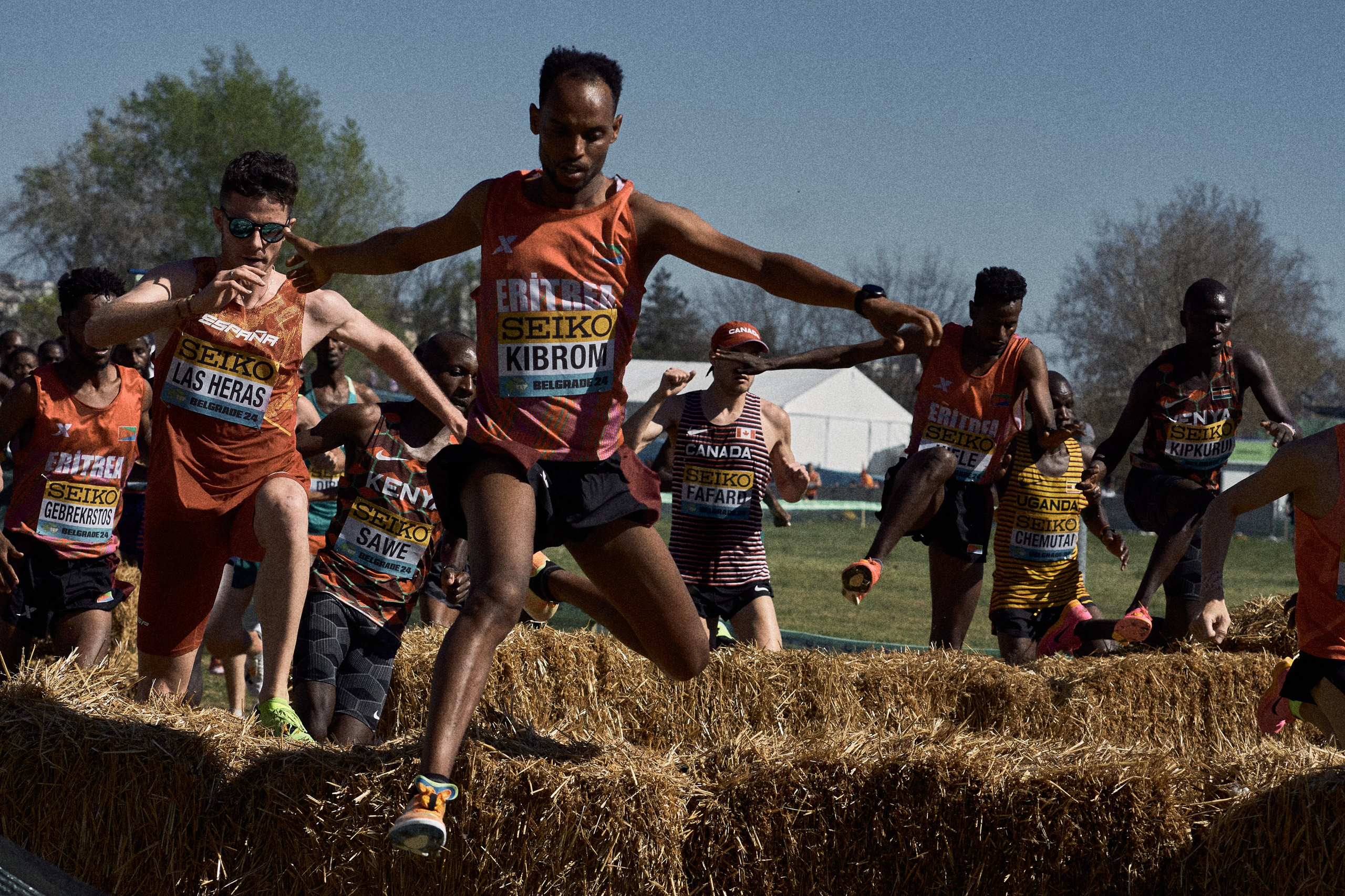 Cross Country Championship 2024 #running. Photographer Evgeniya Dovgalyuk