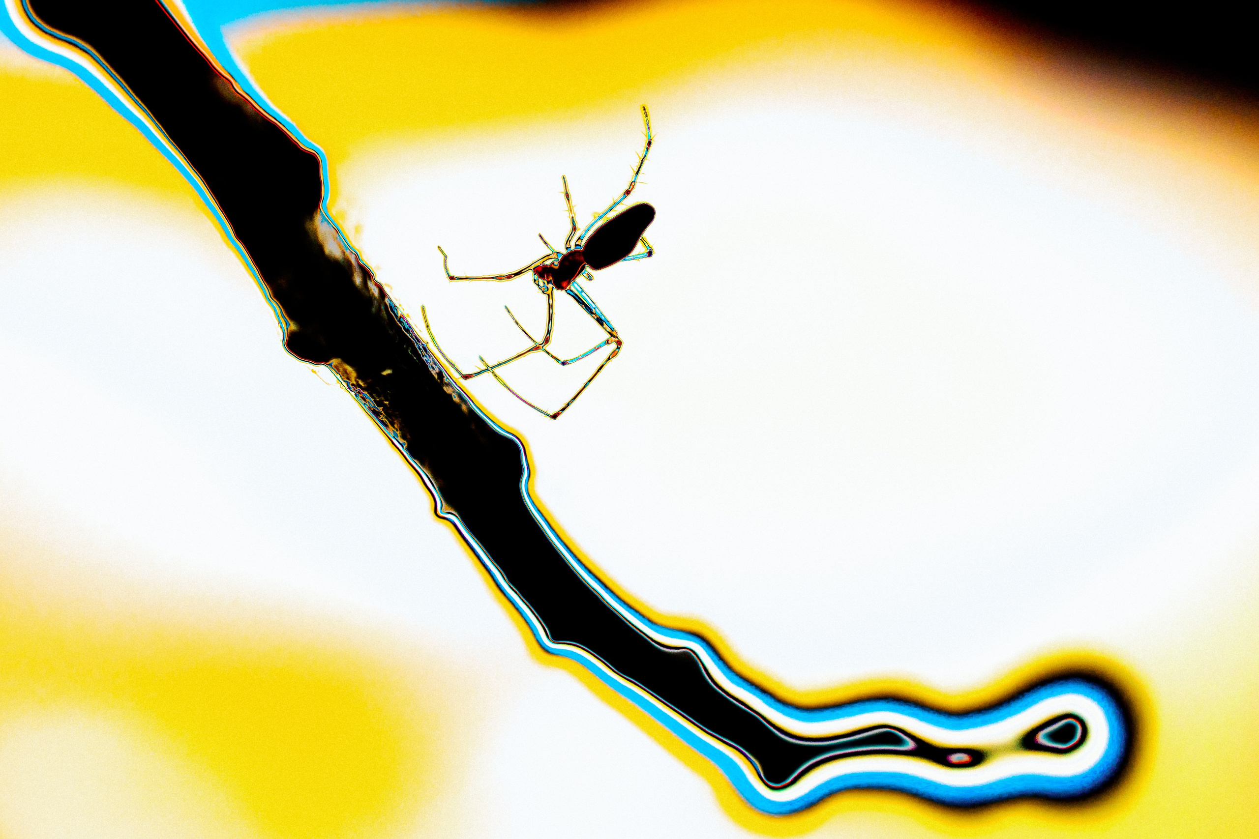 ART. Alexandru Raileanu