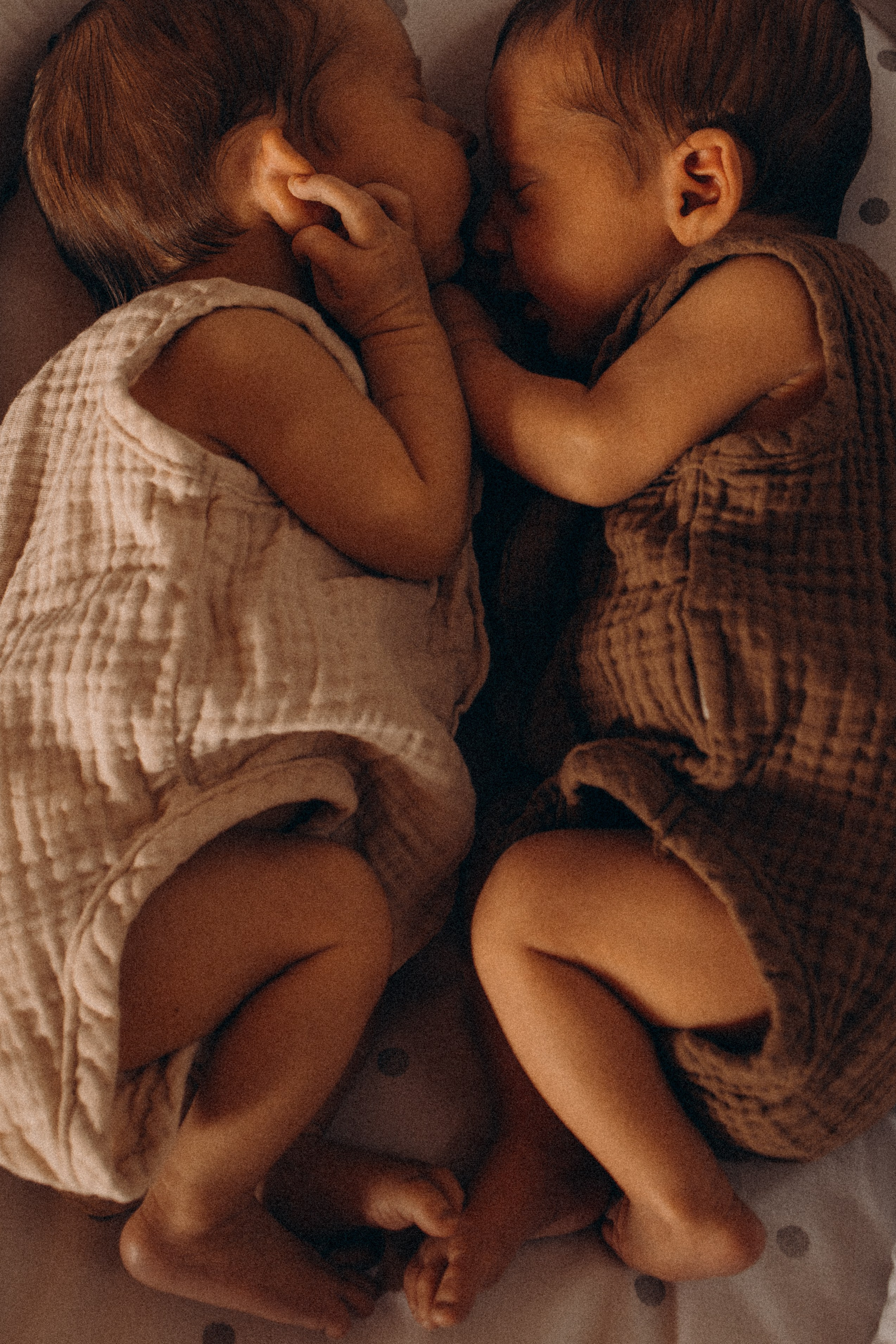 Newborn. Photographer Madeira