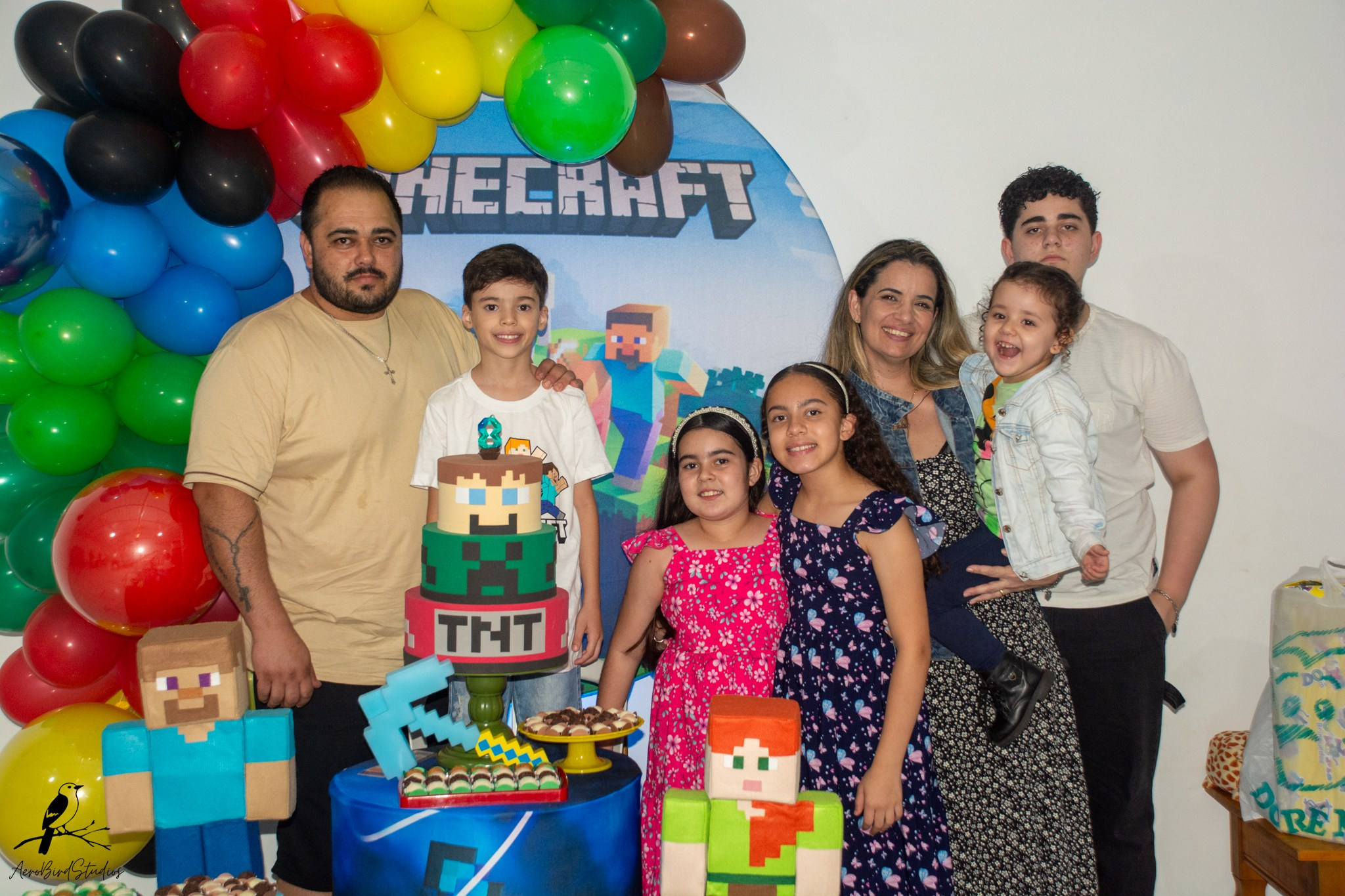 Leonardo 8 ano. AerobirdStudios
