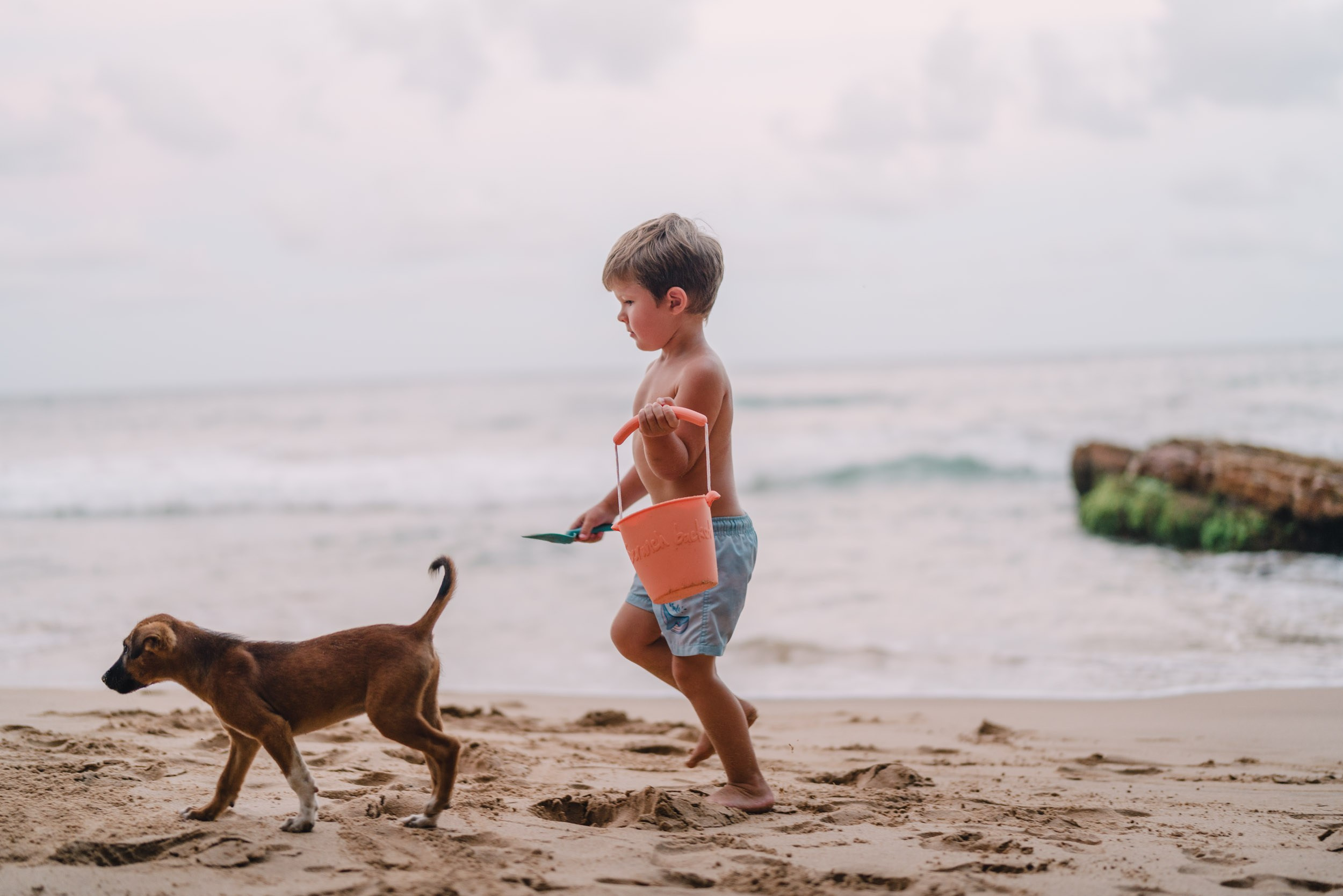Boy running on a beach together with puppy 