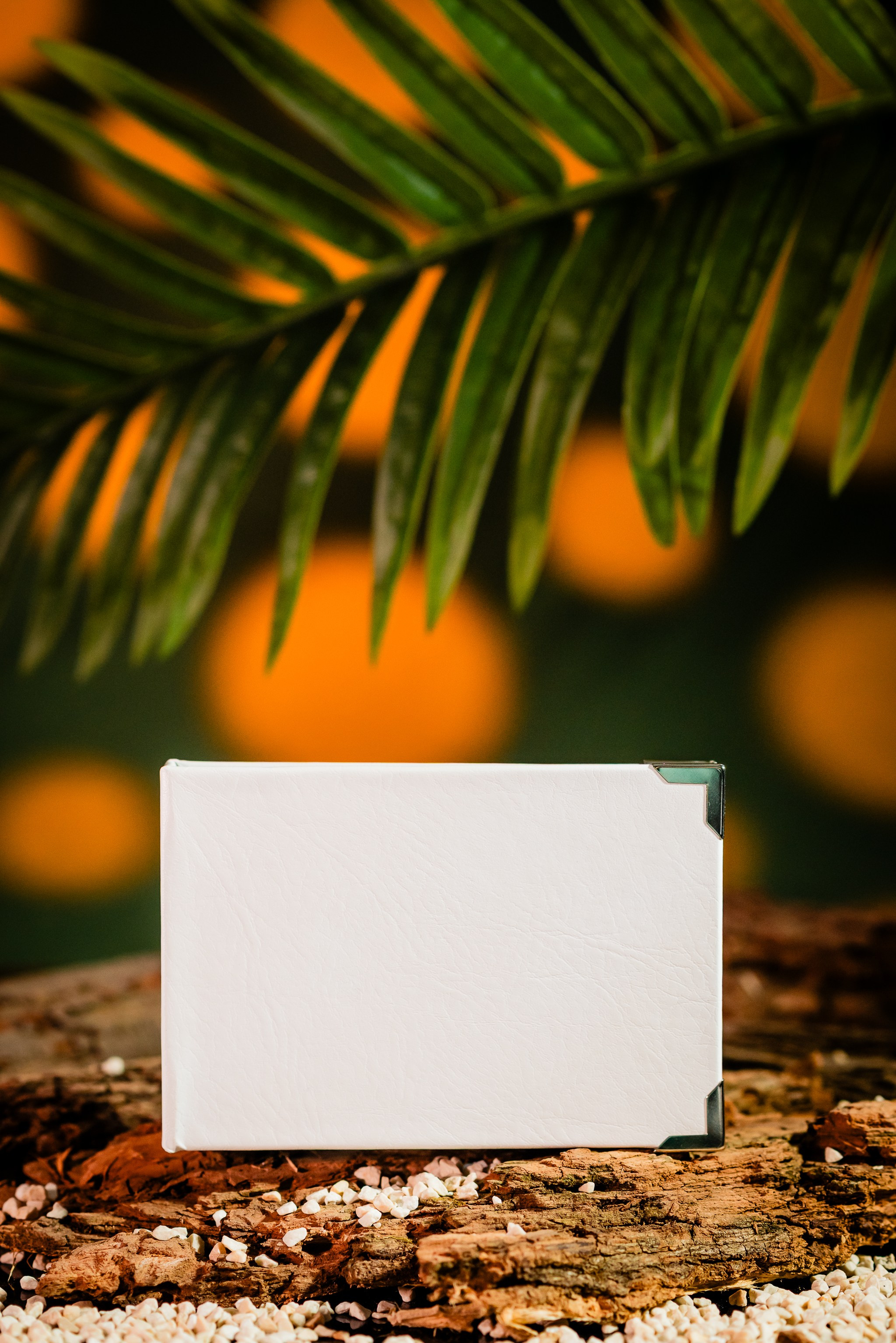 Cutii de stik- Ariana Events. Giani Maftei