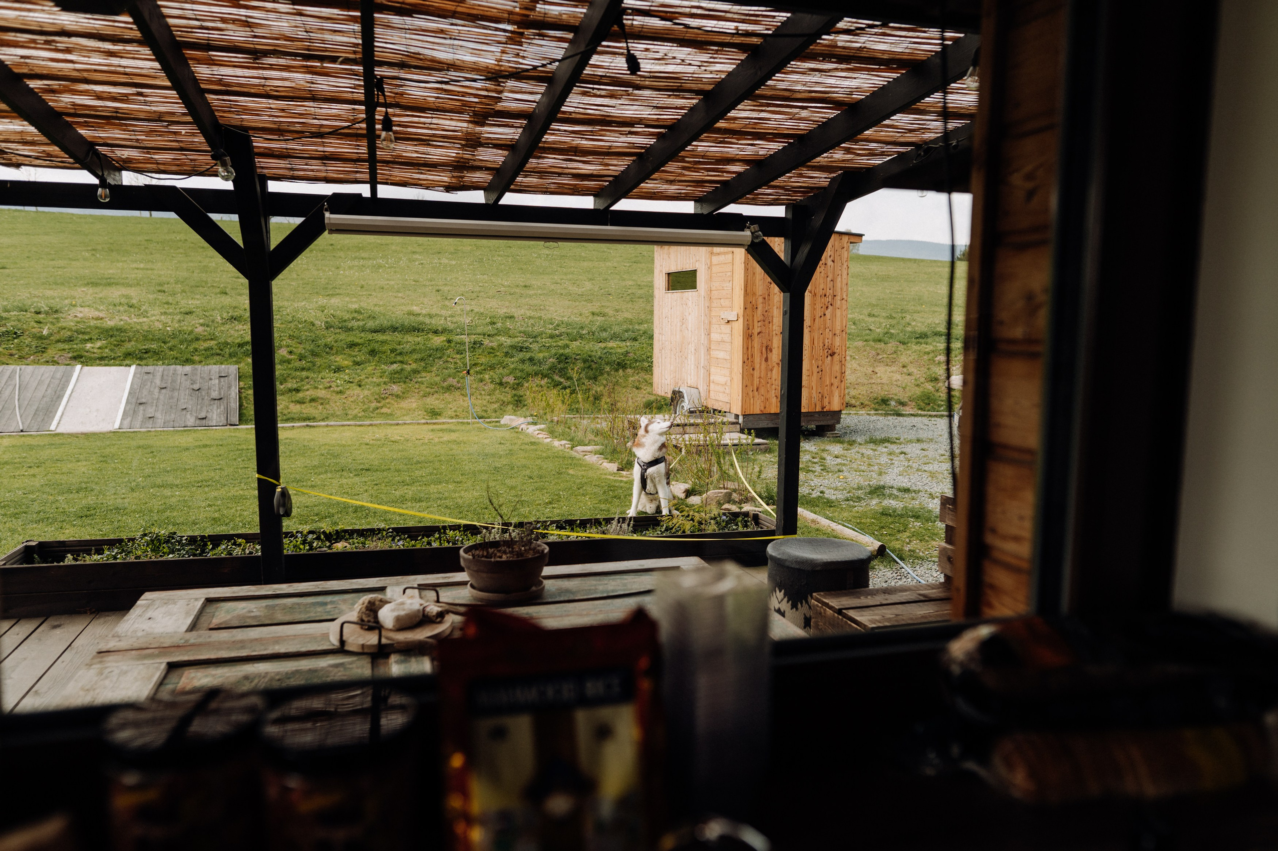 Friends. Фотограф в Праге Анна Лебедева
