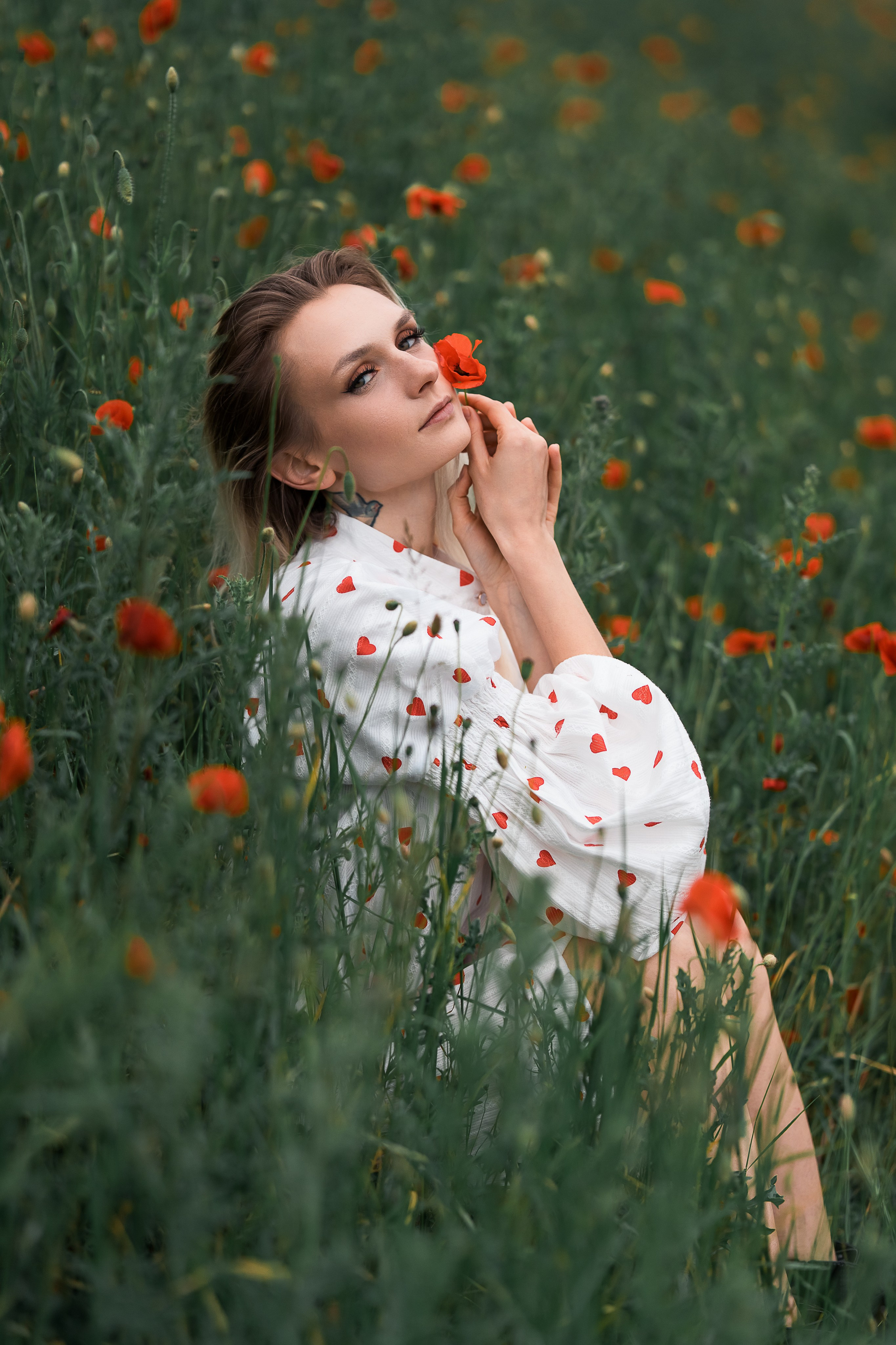 Mohnblumen. Pusteblumen. Familien, Lifestyle und Portrait Fotografin in Trier, Luxembourg