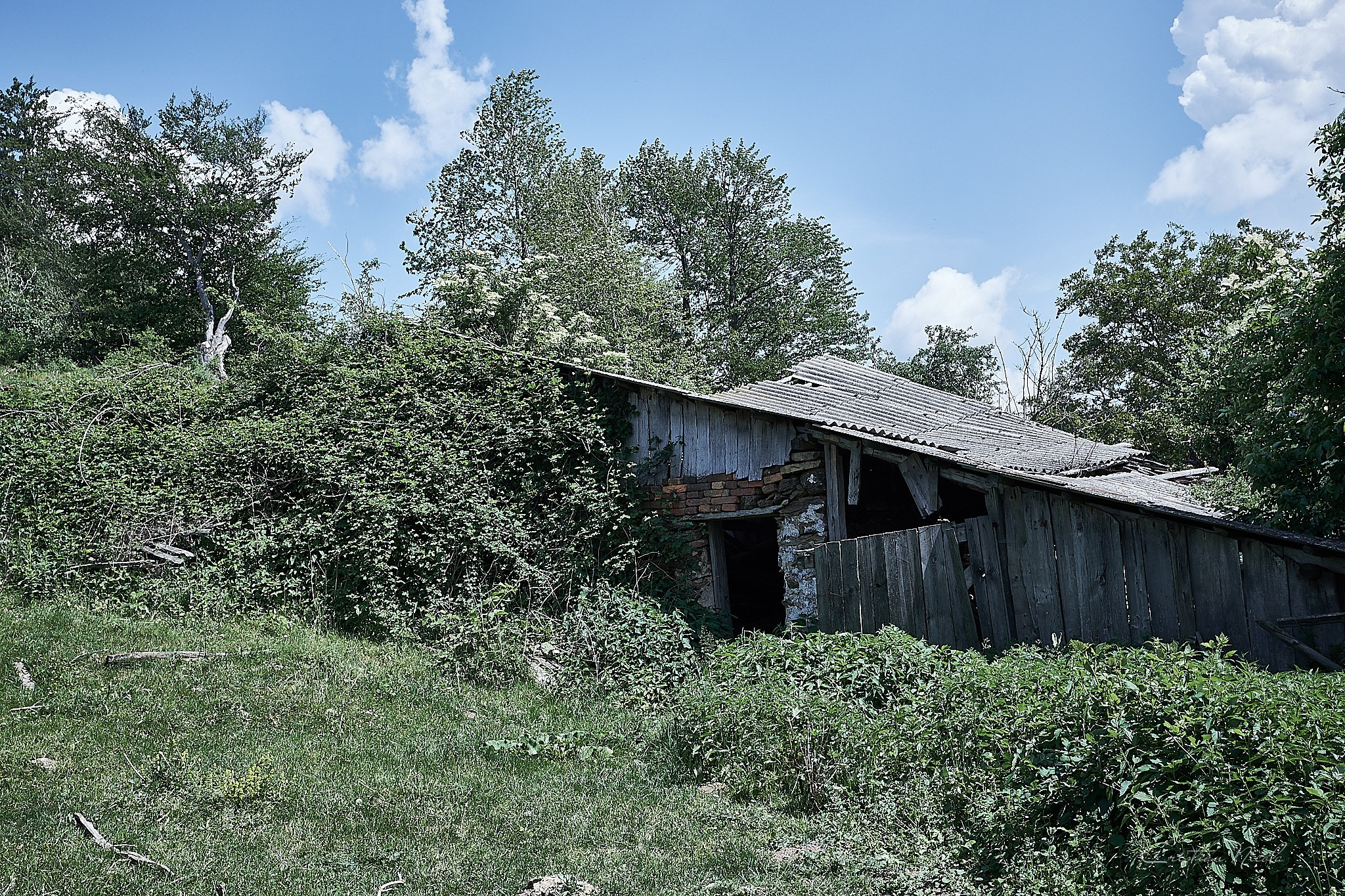 Lindenfeld, satul părăsit, jud. Caraș-Severin. Pagina principală