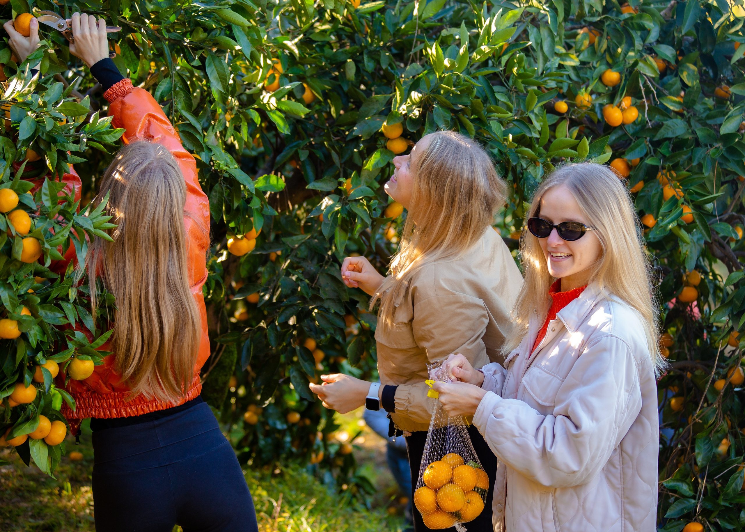 Event. PHOTOSTORYNIKA