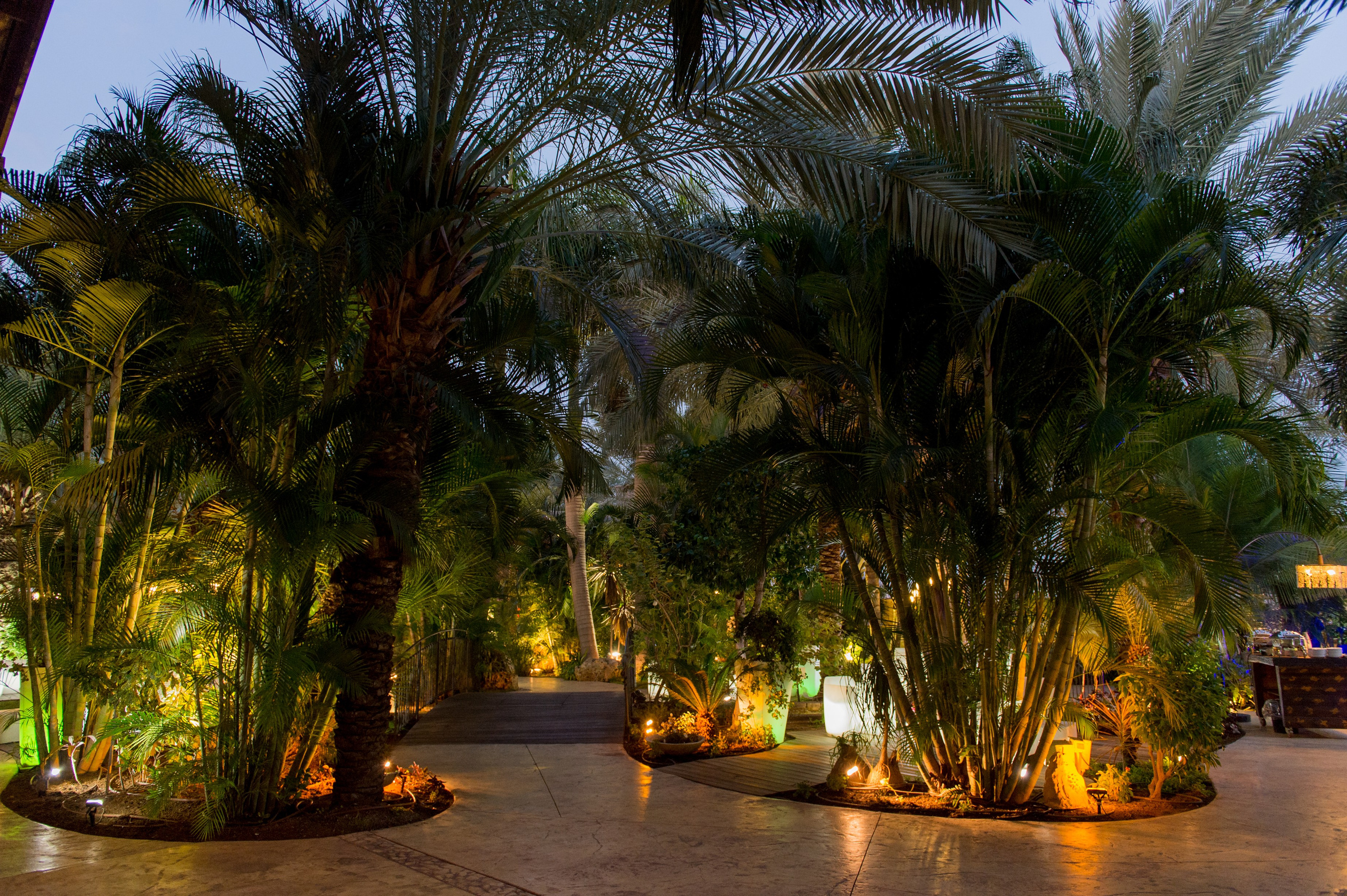 Stella & Elijahu. Wedding and events photographers Studio Shalom