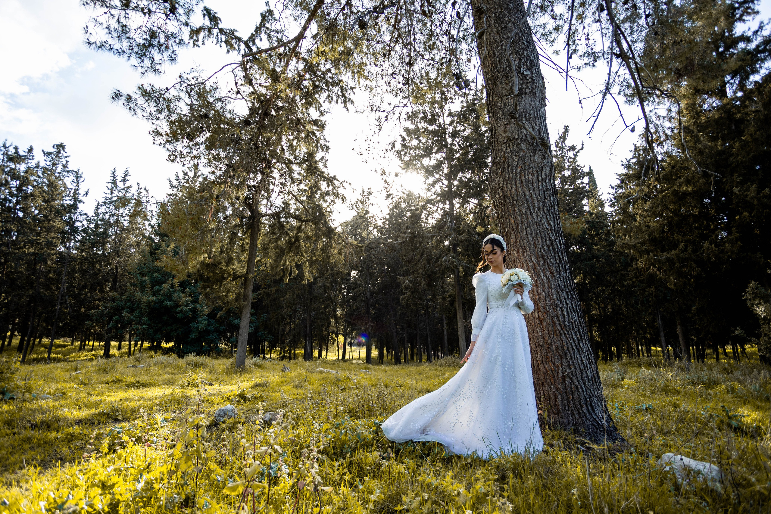 S&N. משה מנשה צלם חתונות