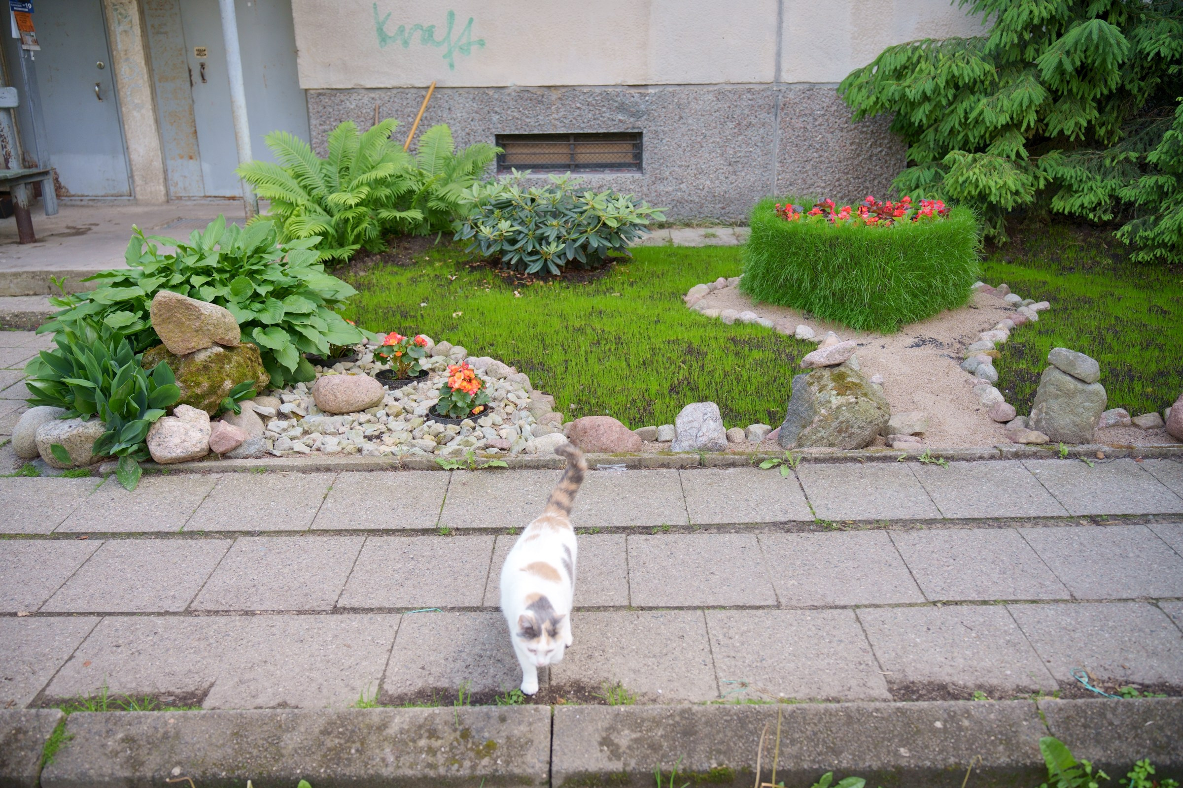 Tuskulėnų g. 8. Elina Sapiega fotografė Vilniuje