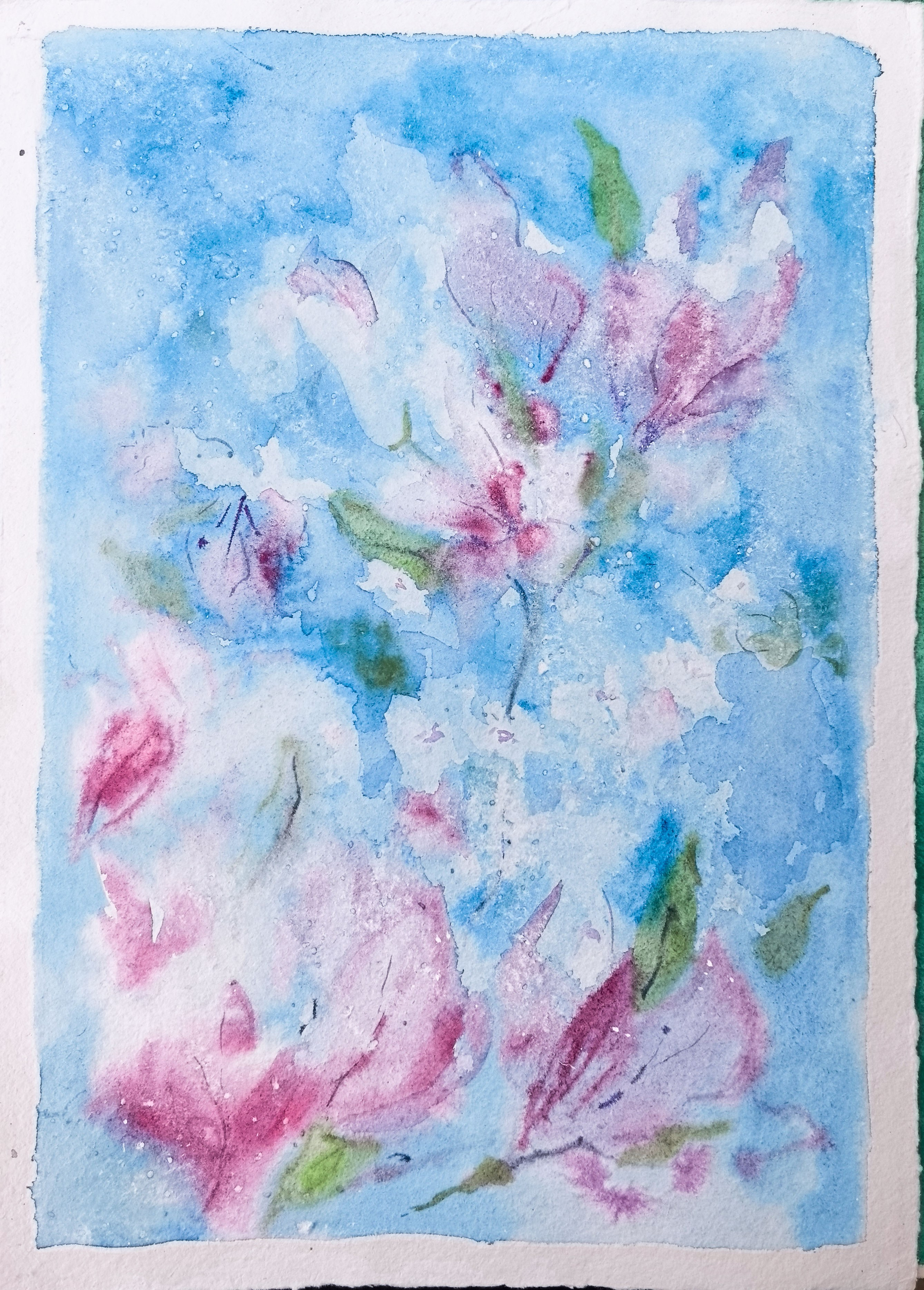 New watercolor collection Summer 2026. Professional Artist, teacher of art, Artistic Photographer In Dubai (U