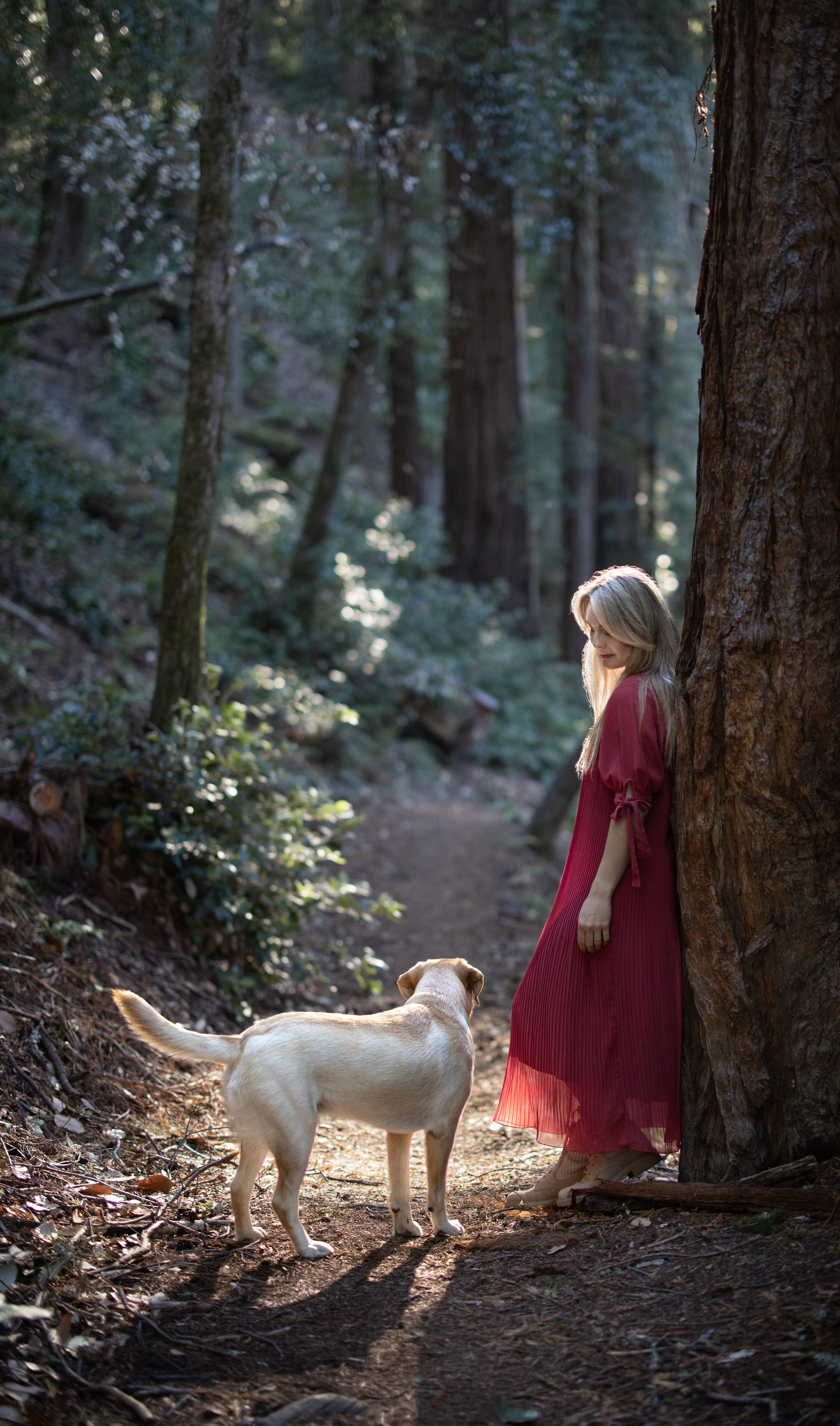 Portfolio. Levantera Photo San Francisco Bay Area Photographer Natalia