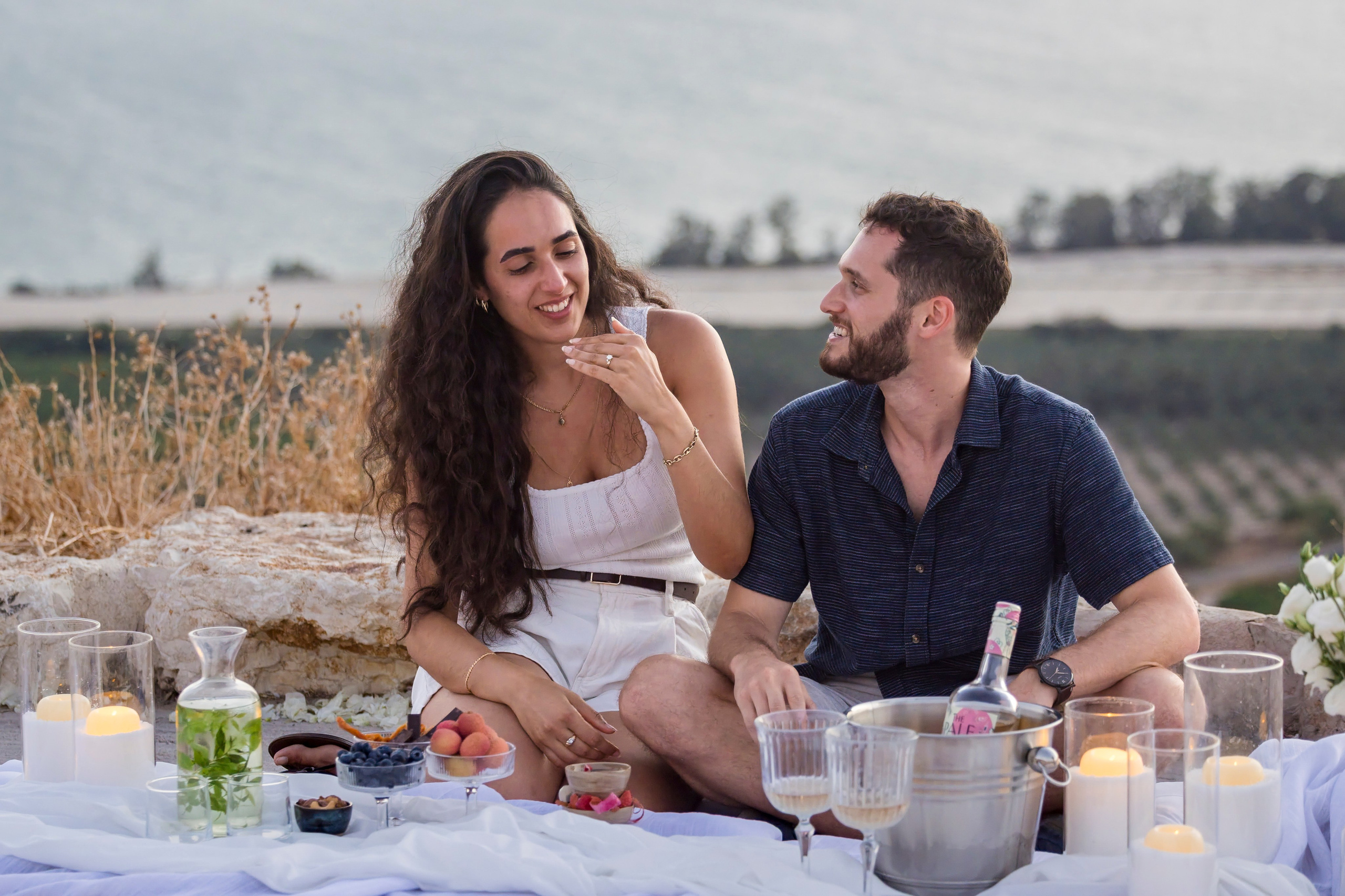 Lee & Segev Proposal