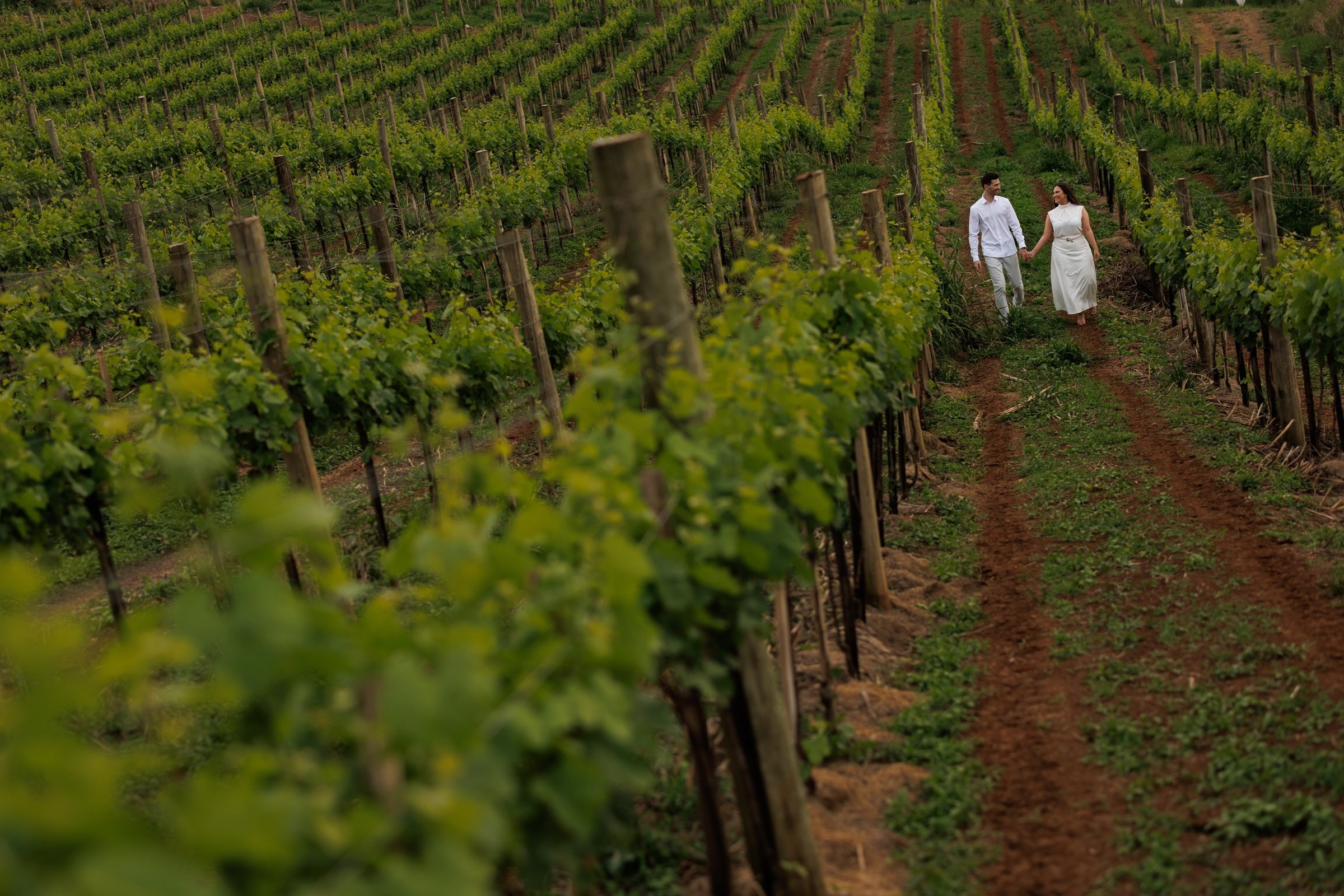 Couple Sessions. Wedding Photographer in Brazil | Based in Paraná, available across Brazil and worldwide