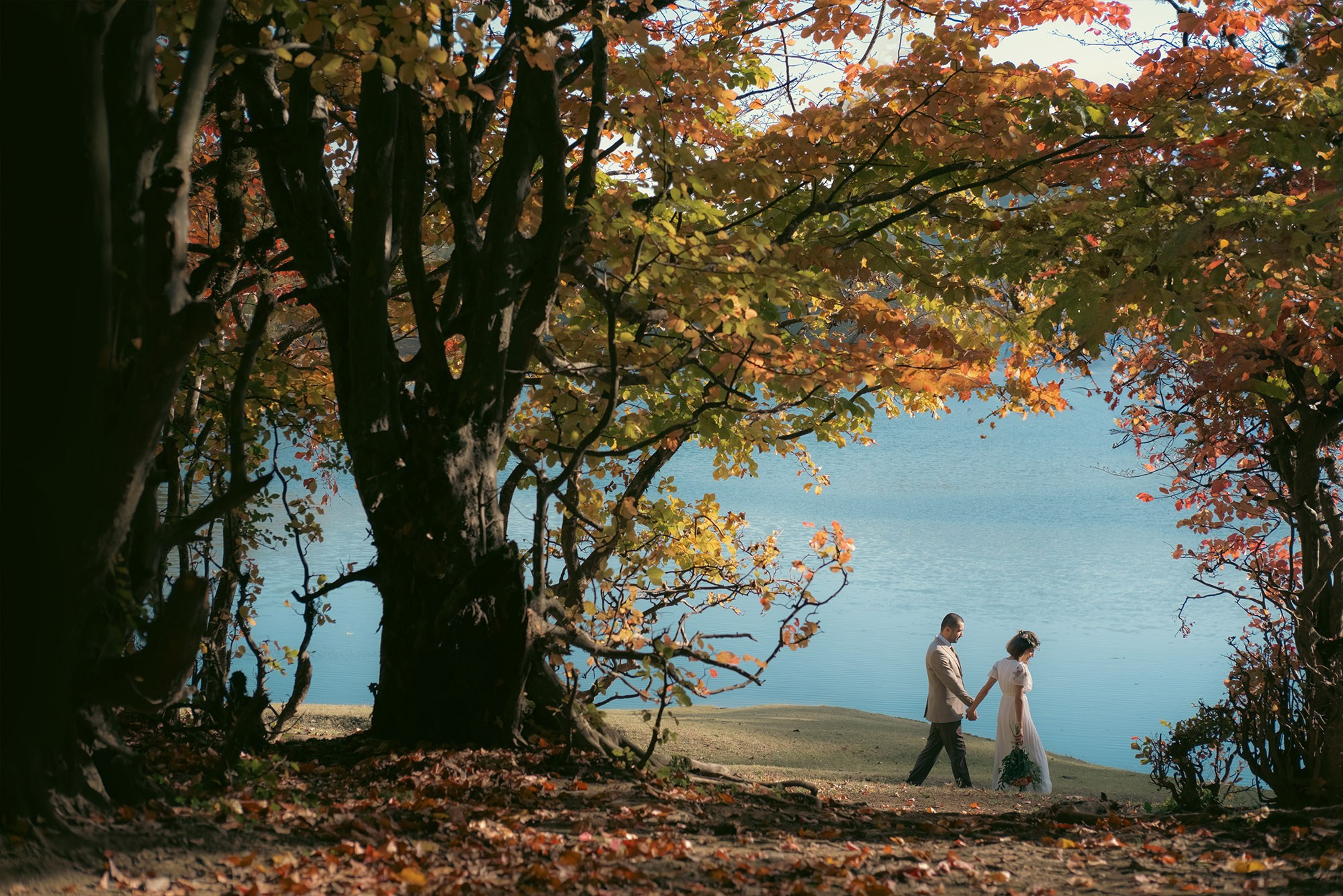 Kəbutər-Tərlan. Bakıda Peşəkar Tədbir, Love Story və Təbiət Fotoqrafı — Elşən Baba