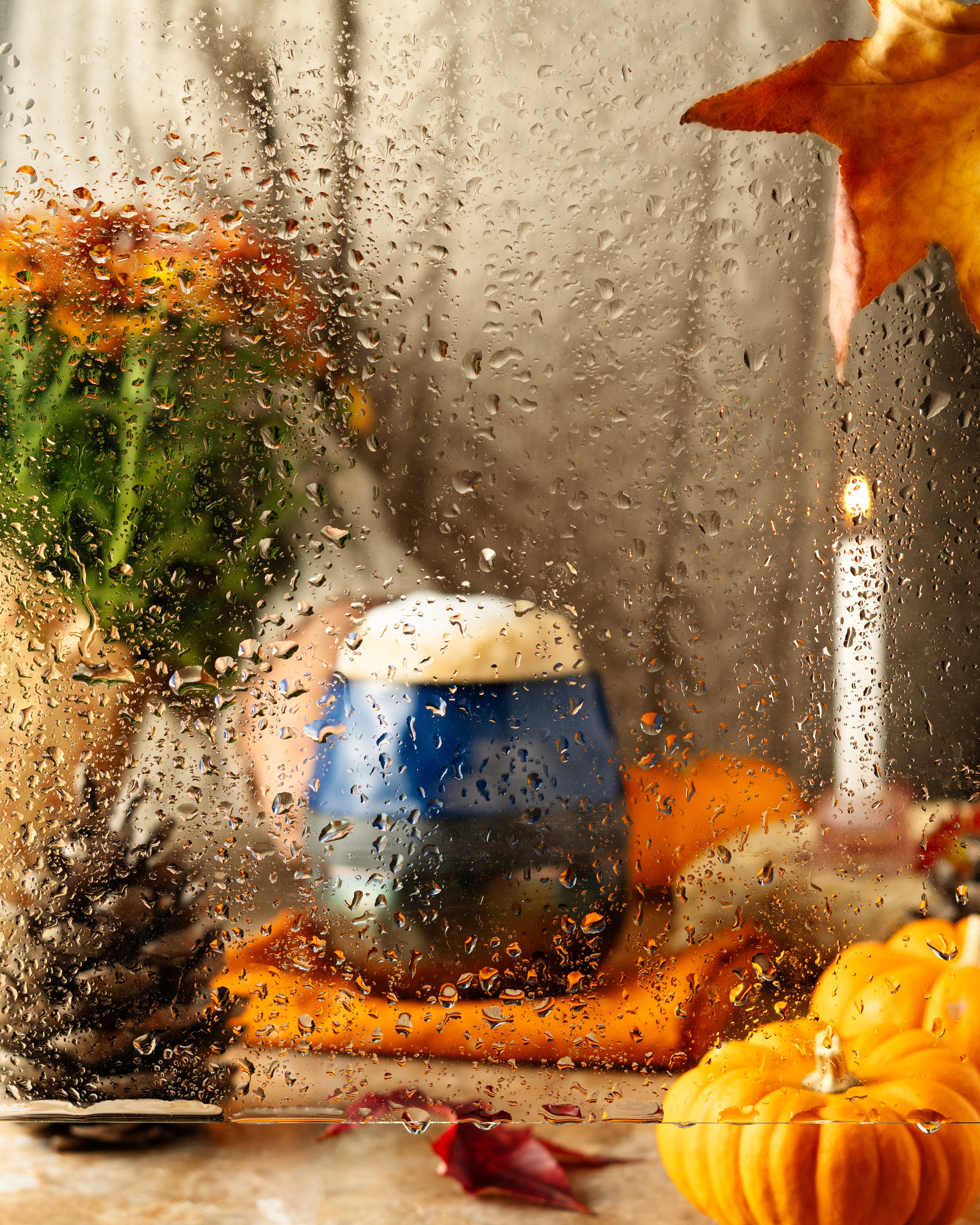 Commercial Food Photography – USA Menu & Advertising. LILIIA ZABOTKINA food photographer California