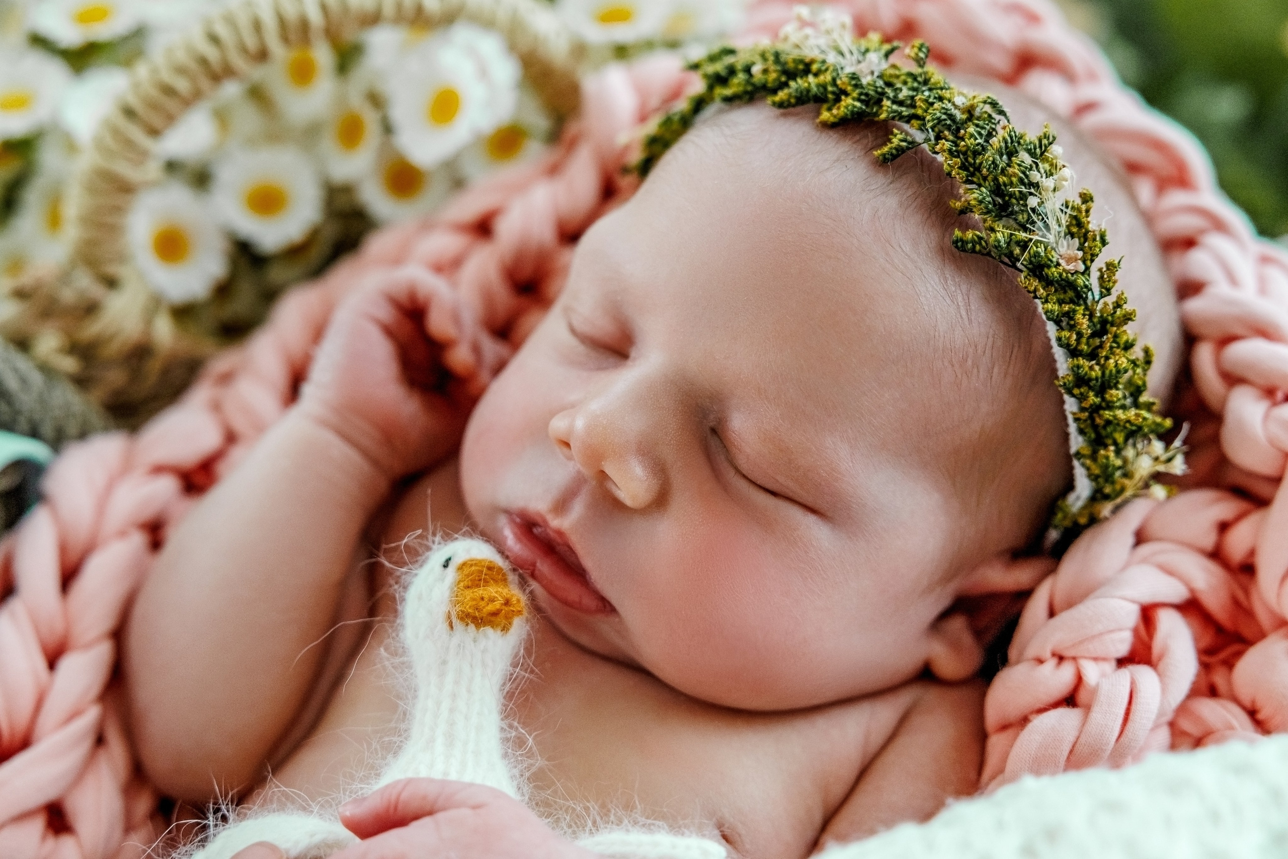 Newborn. Фотограф Ирина Йотова