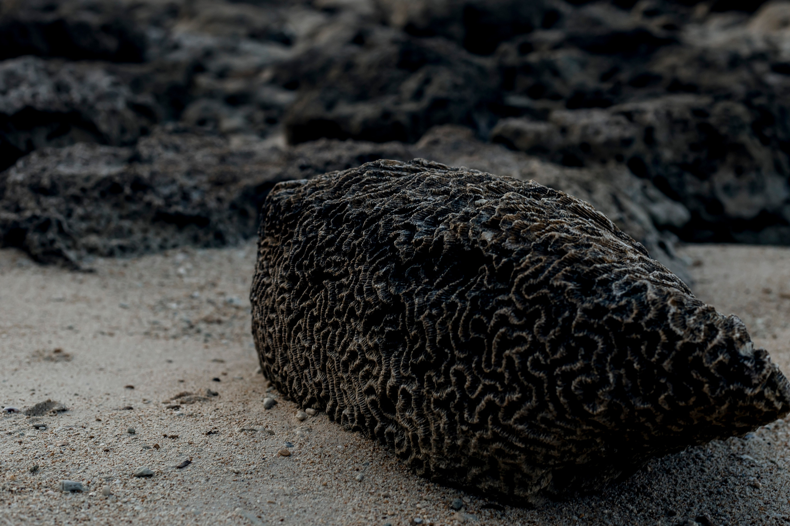 Andaman Islands, Part2. Art Photographer