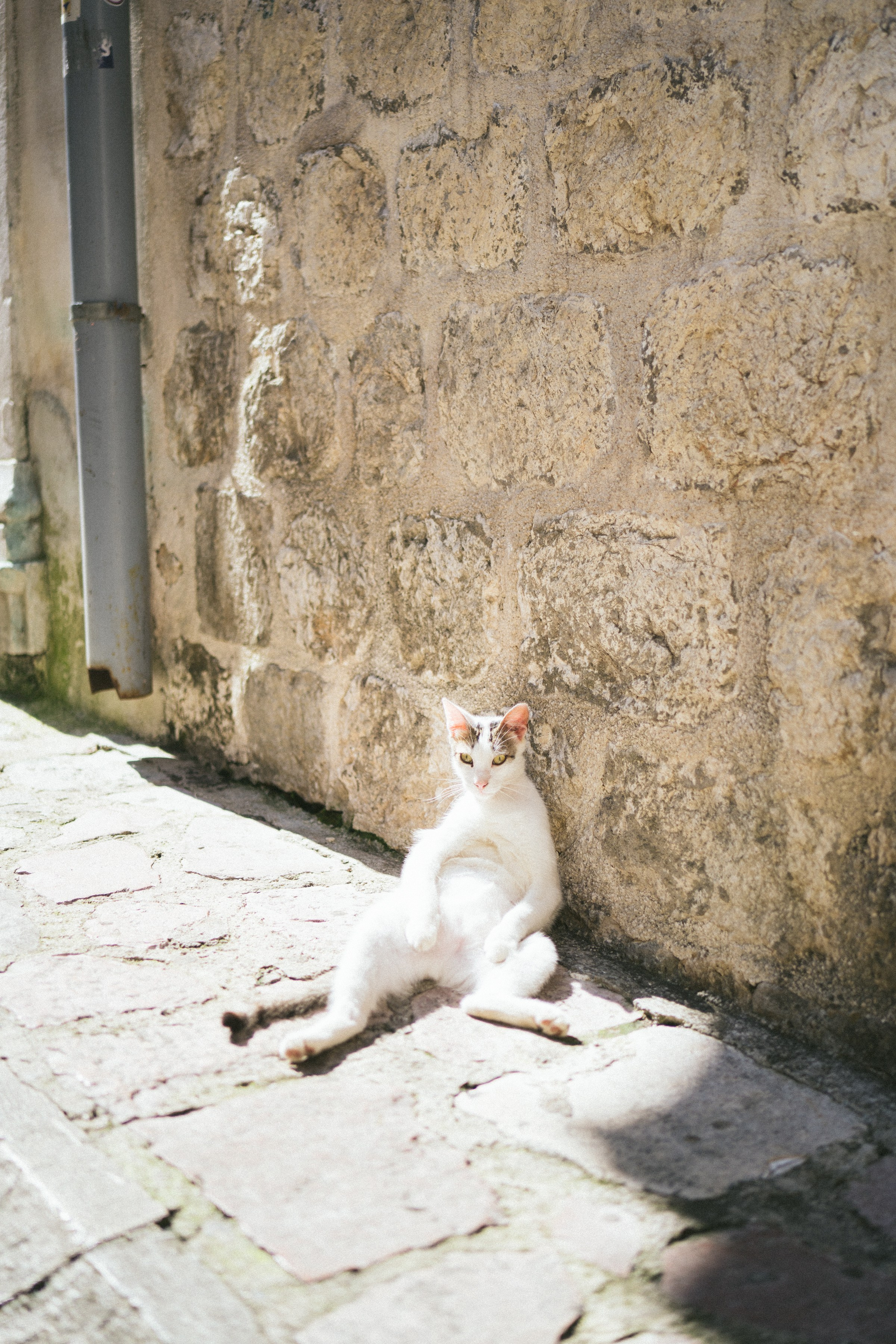 Family Session in Kotor. Sunkrit Photography