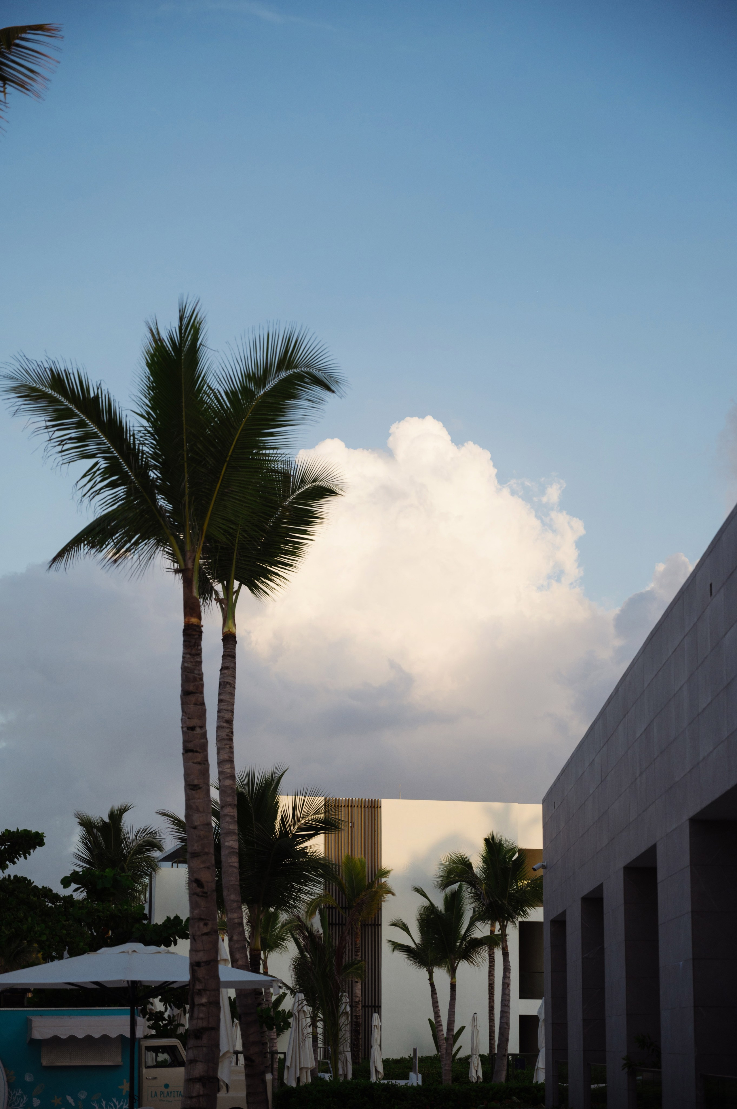 Tracy and Jourdan. Finest Punta Cana