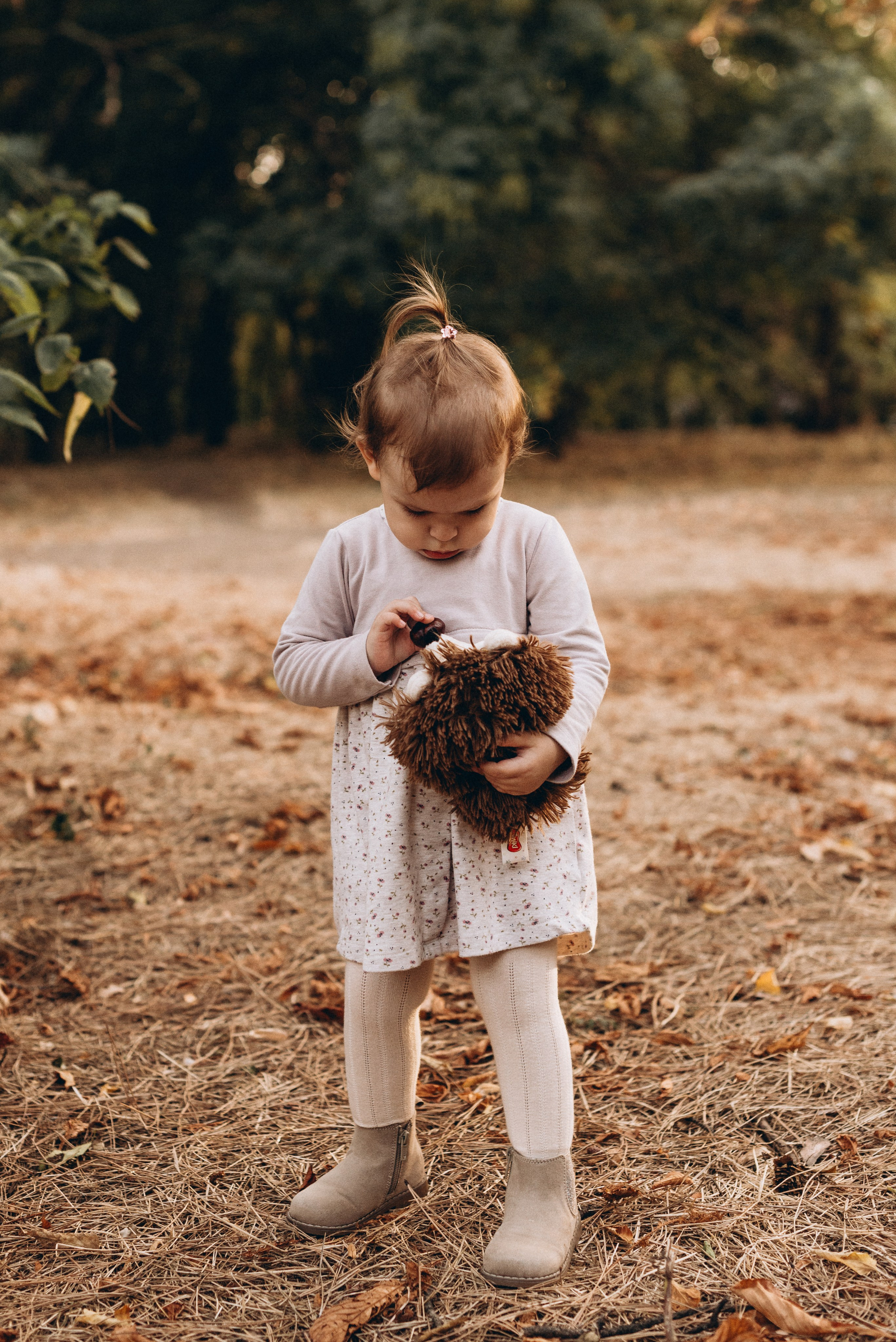 *. Wedding and family photographer San Diego