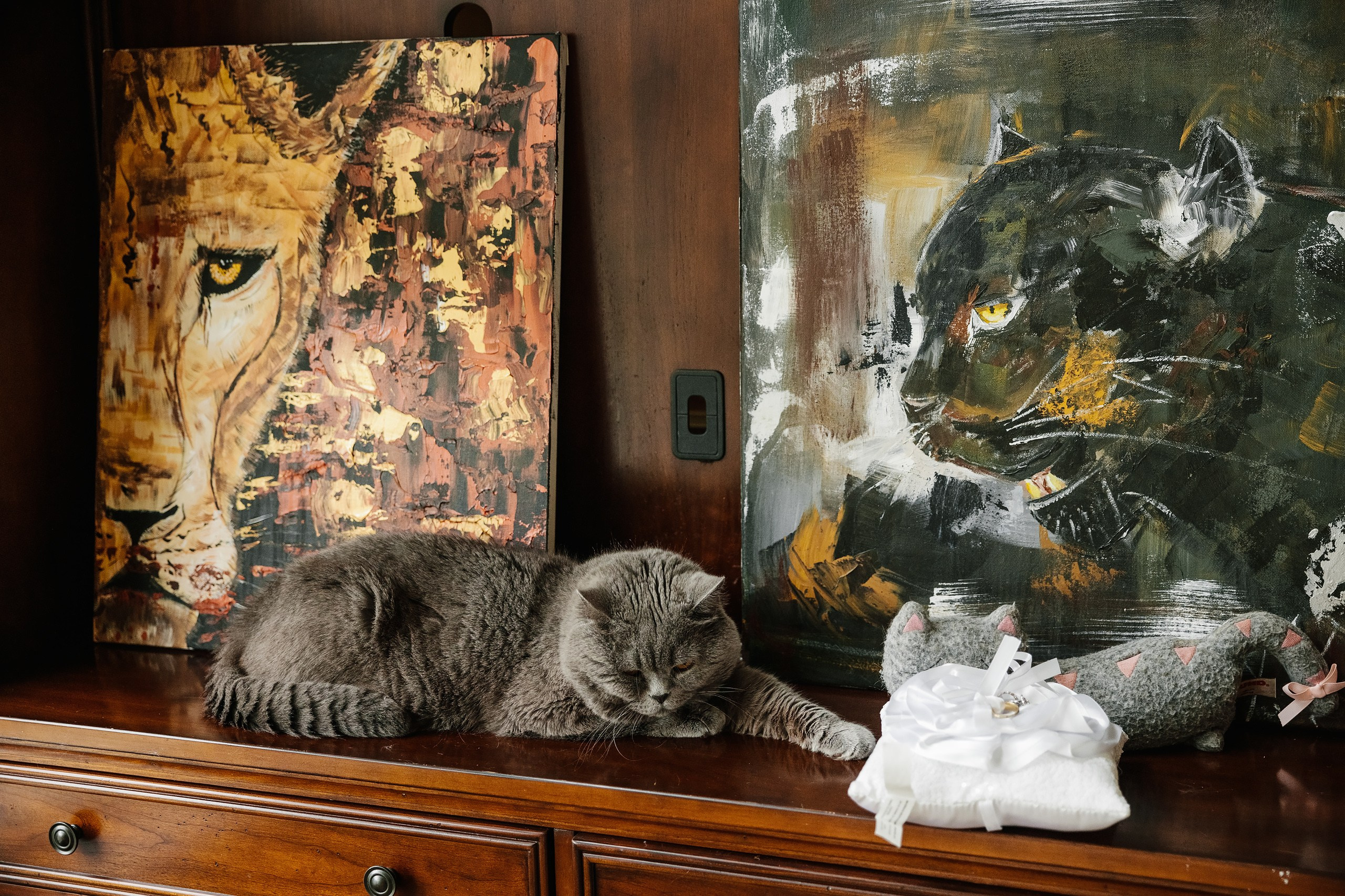 08.06.2024 Wedding. Wedding family event photographer in Chicago Nick Yushevich