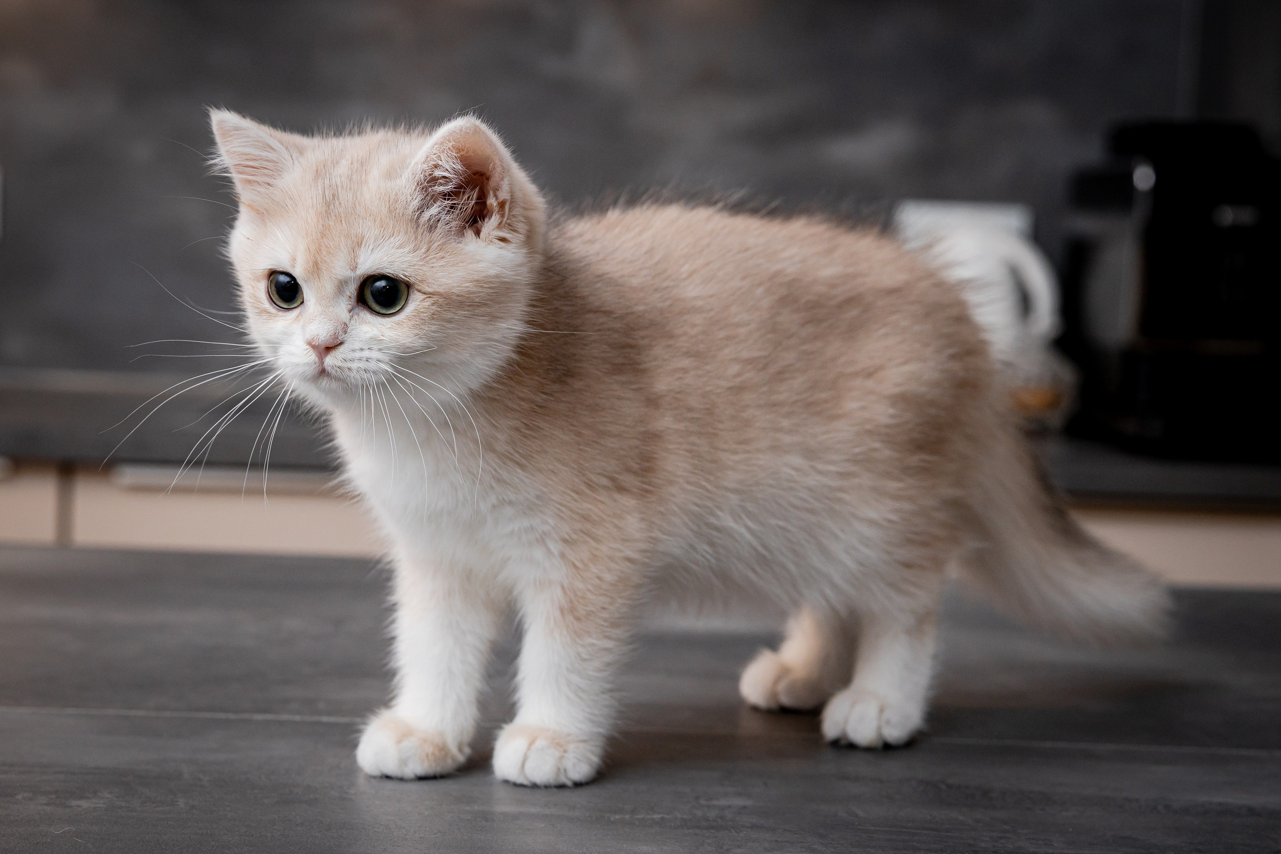 Fotograf in Deutschland - Michael Baron. Fotograf in Deutschland - Michael Baron