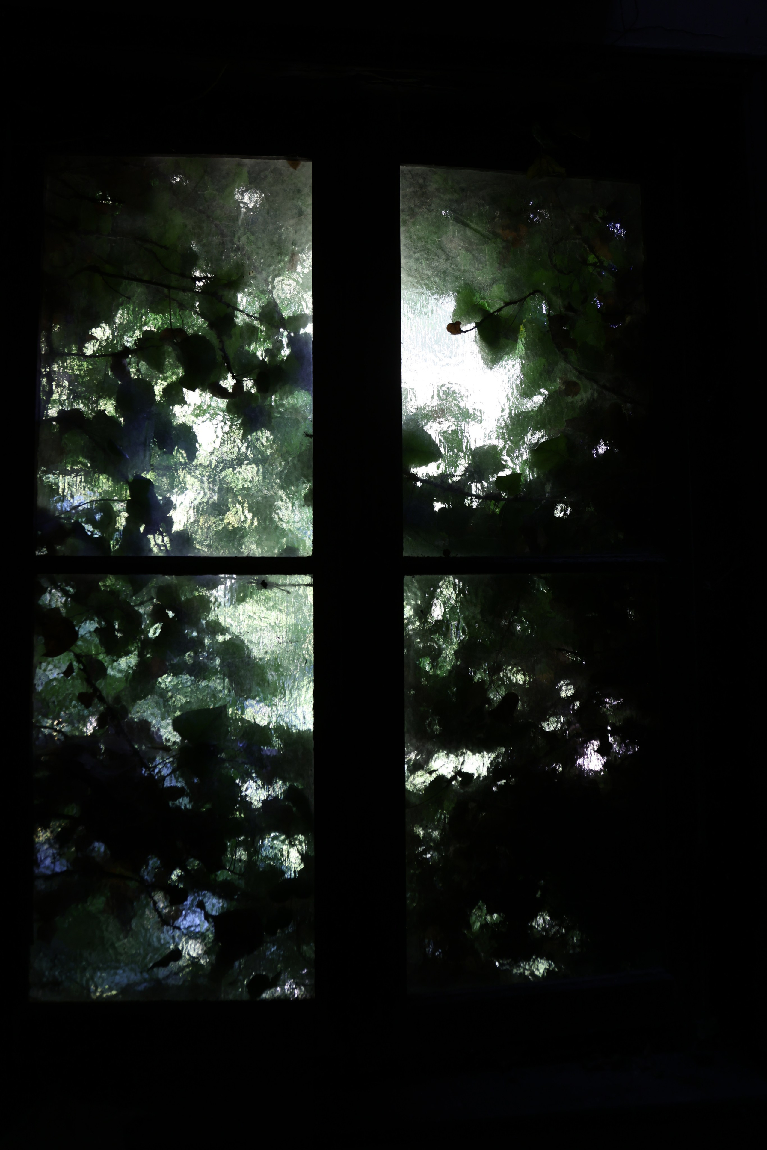 MAISON AU BOIS DORMANT. Natalia Bogdanovska. Films et photographie corporate en France