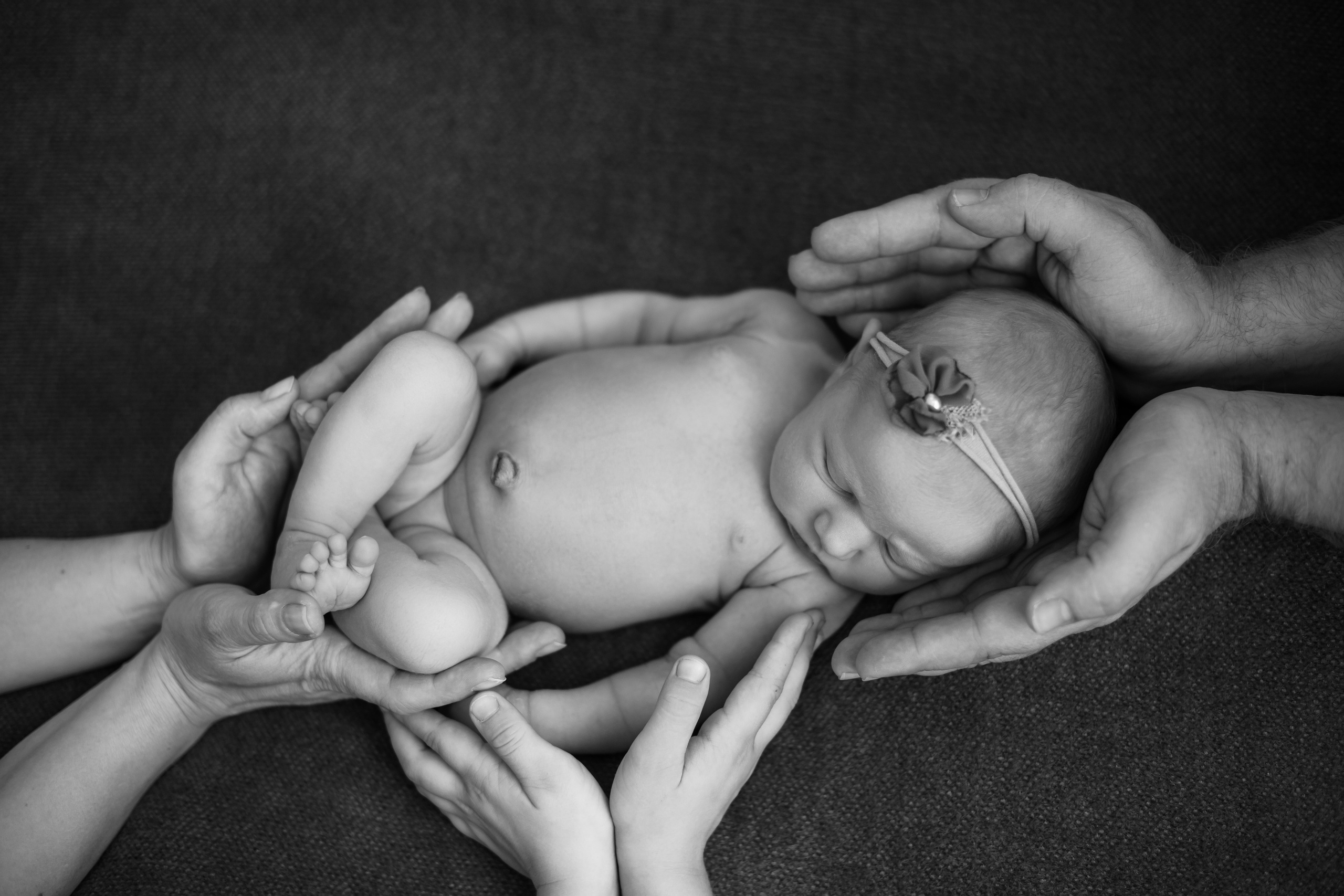 Newborn. Diana Muntean Photography