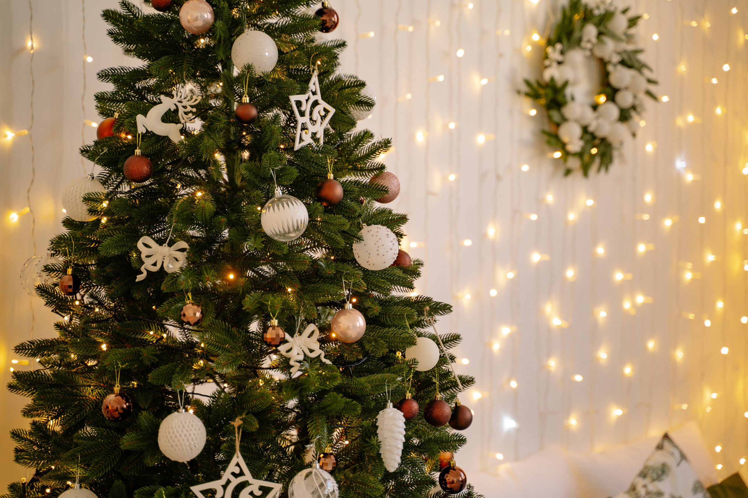 Anul Nou 2021-2022. Diana Muntean Photography