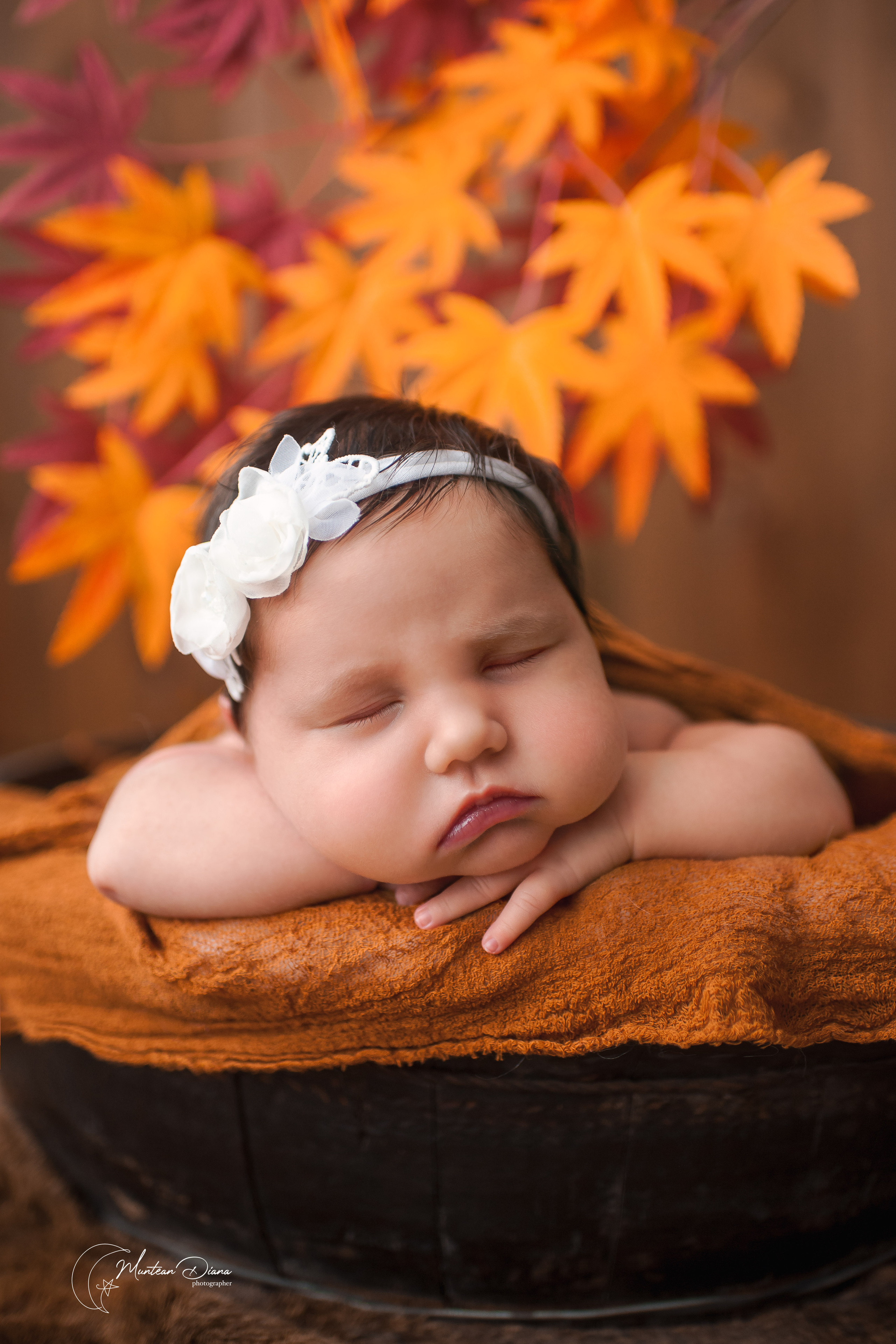 Newborn. Diana Muntean Photography