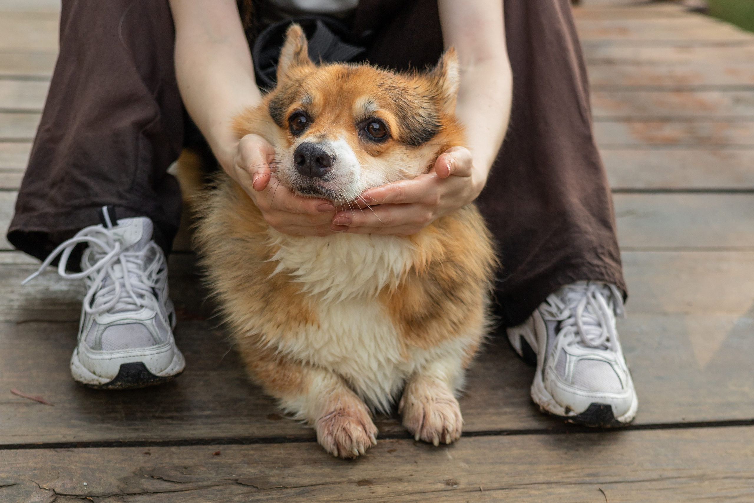 Мария и Санти. Фотограф-анималист | Белград