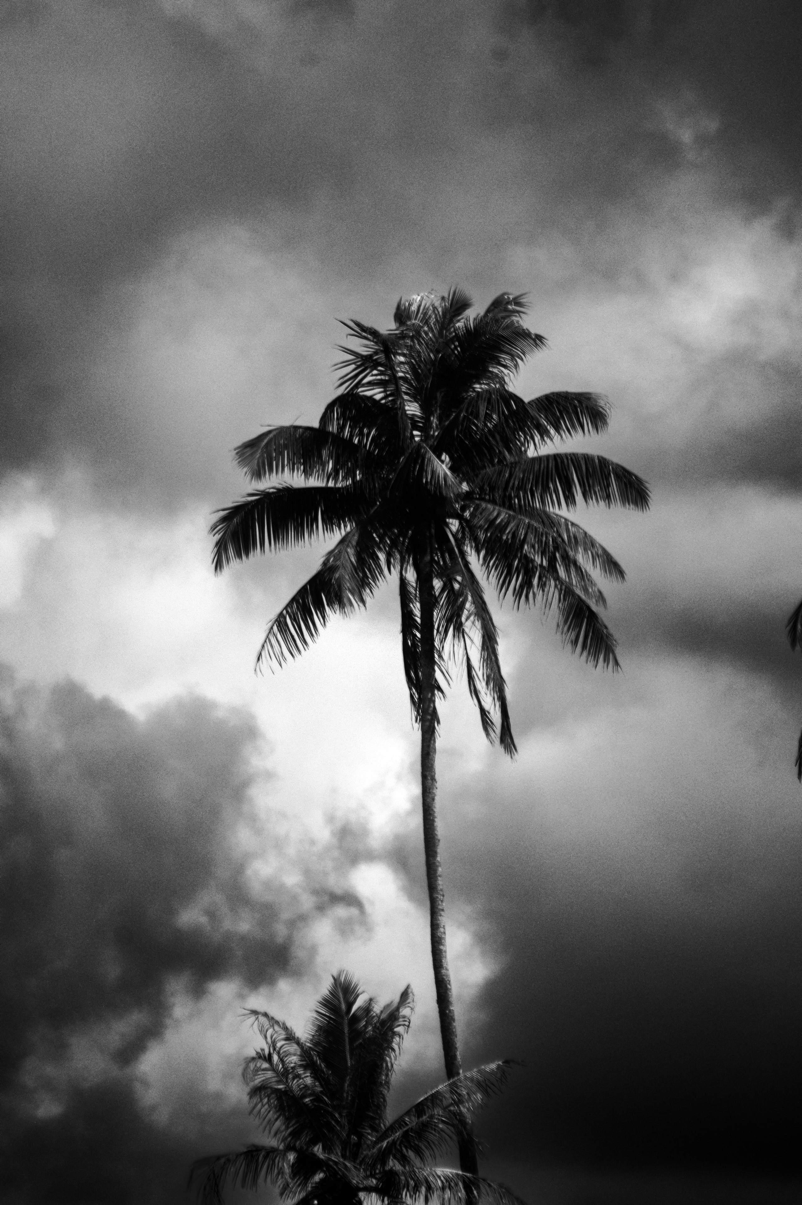 Surfcamp Black&White. Photographer Sri Lanka