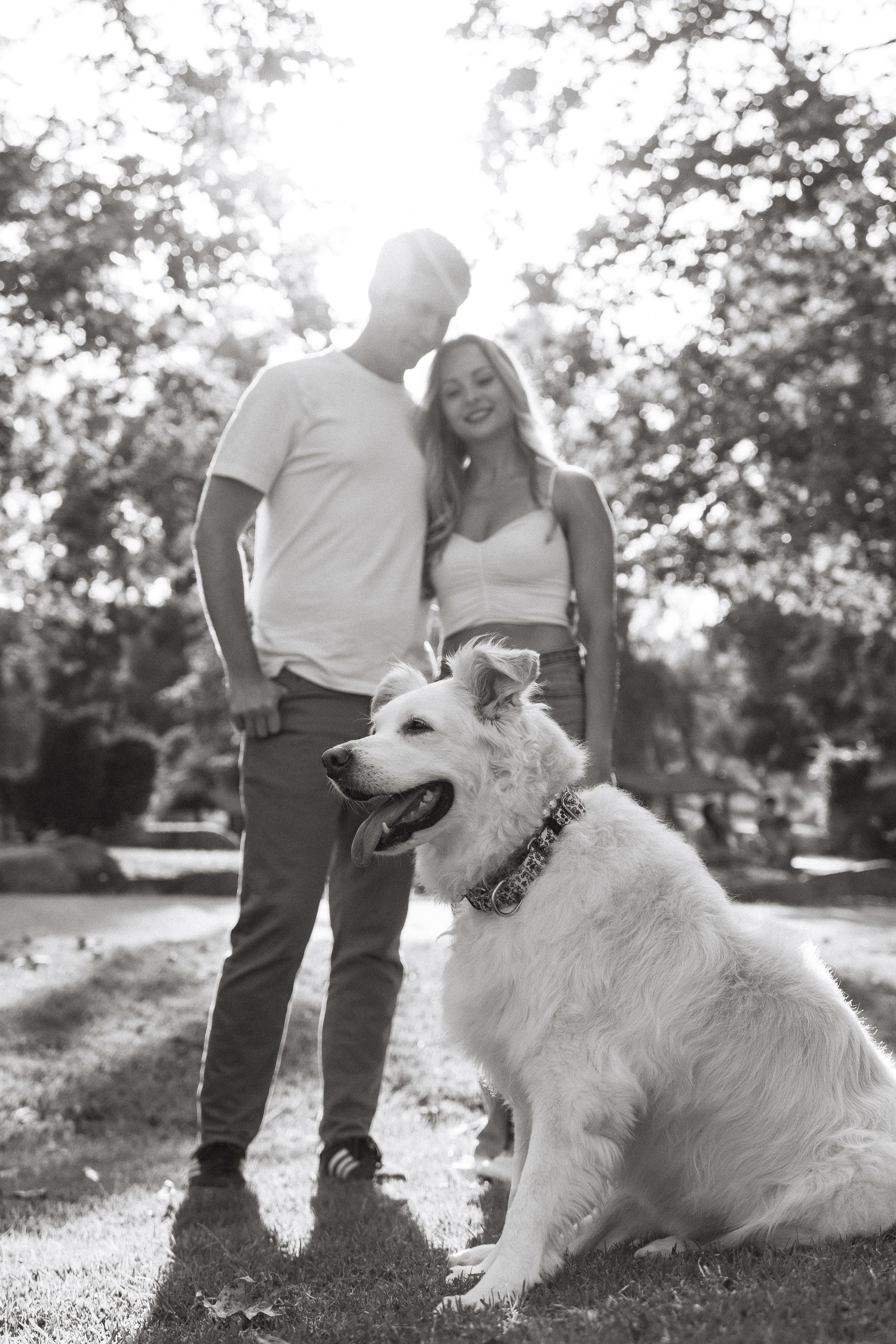 Ava. Big and loyal Love. Portrait, family, maternity & wedding photography & videography in SoCal Kseni Vibe