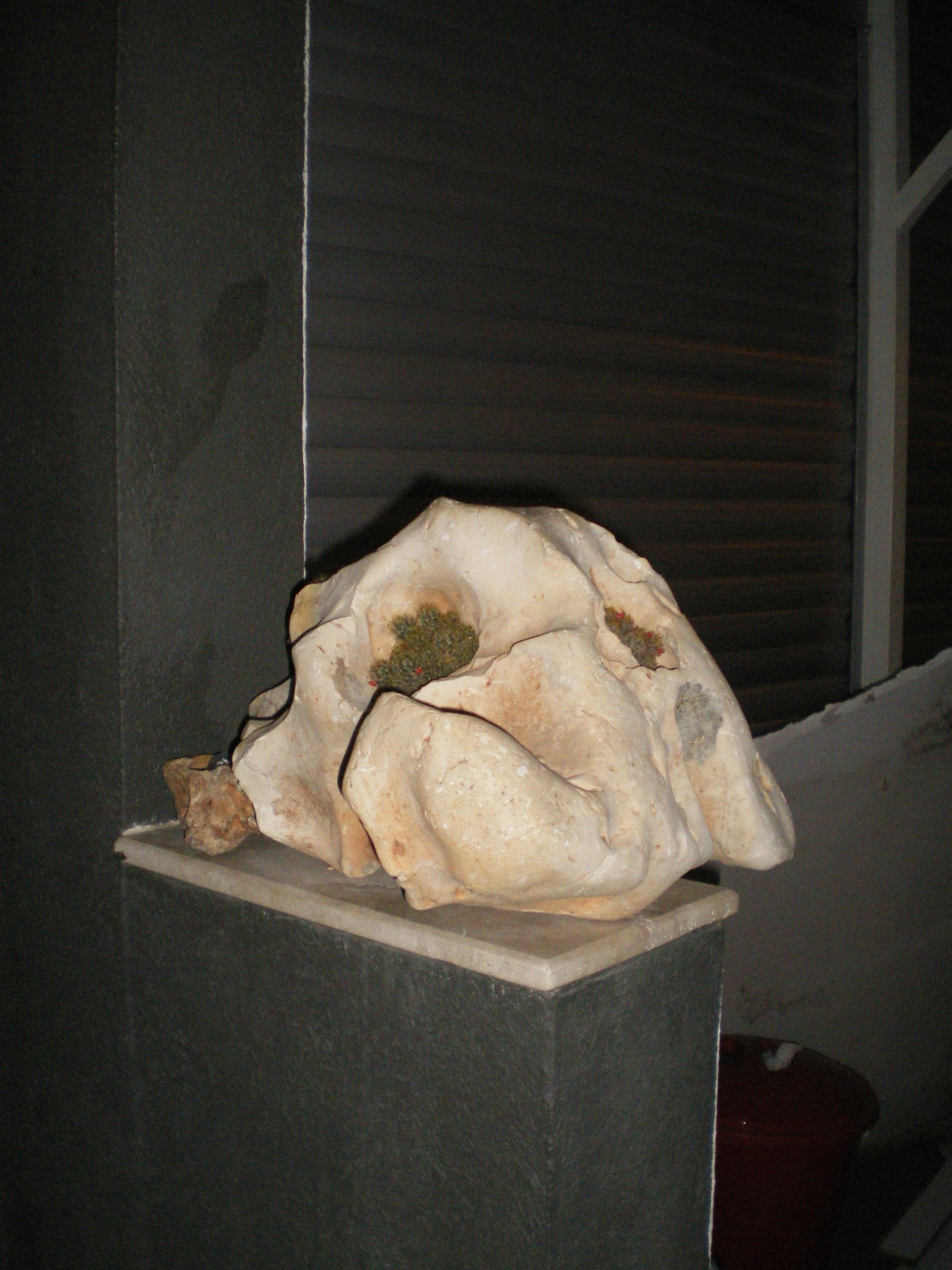 Ode to istanbul. Daria Sukhikh | Photography