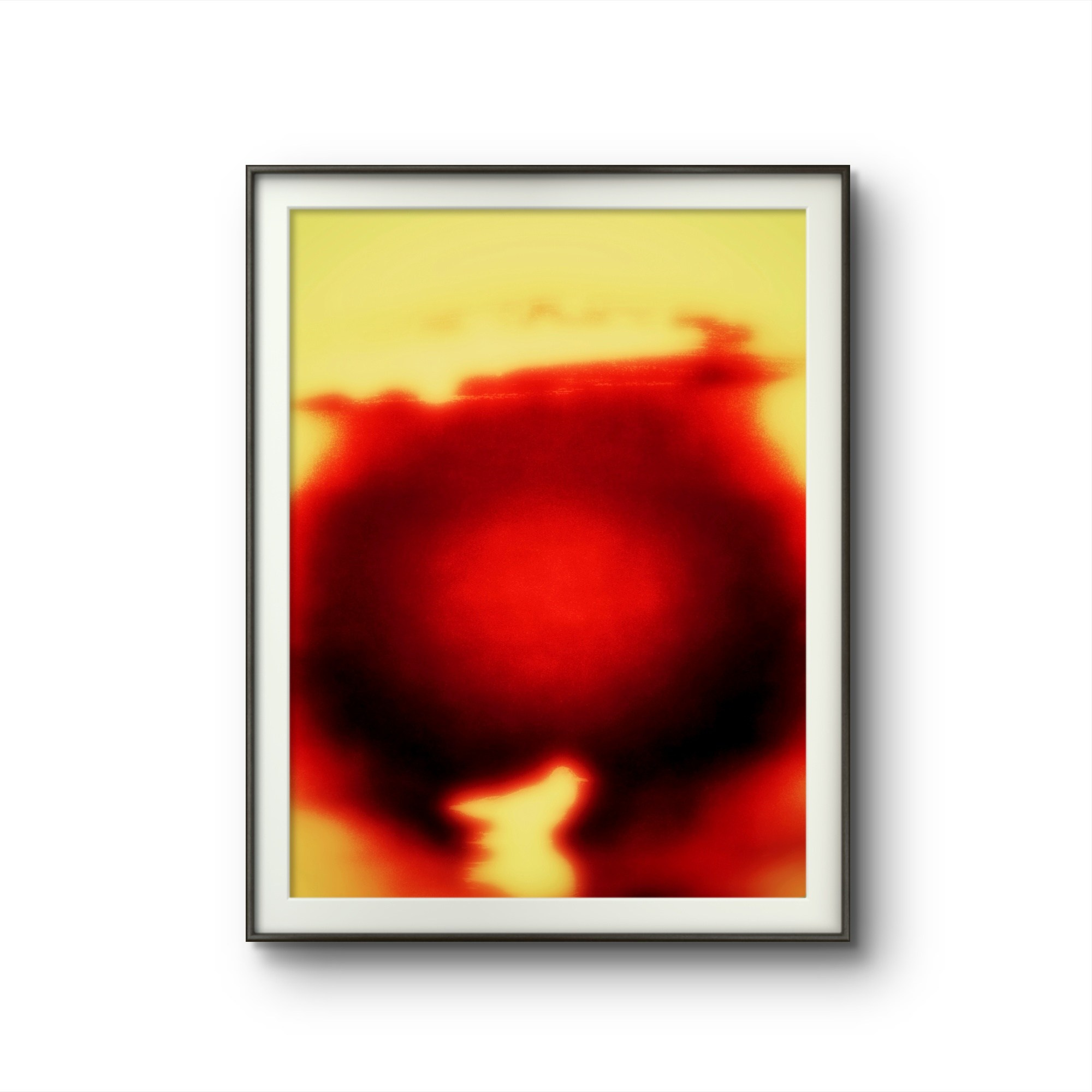 SEAGULLS. Irina Owlik — Visual Artist