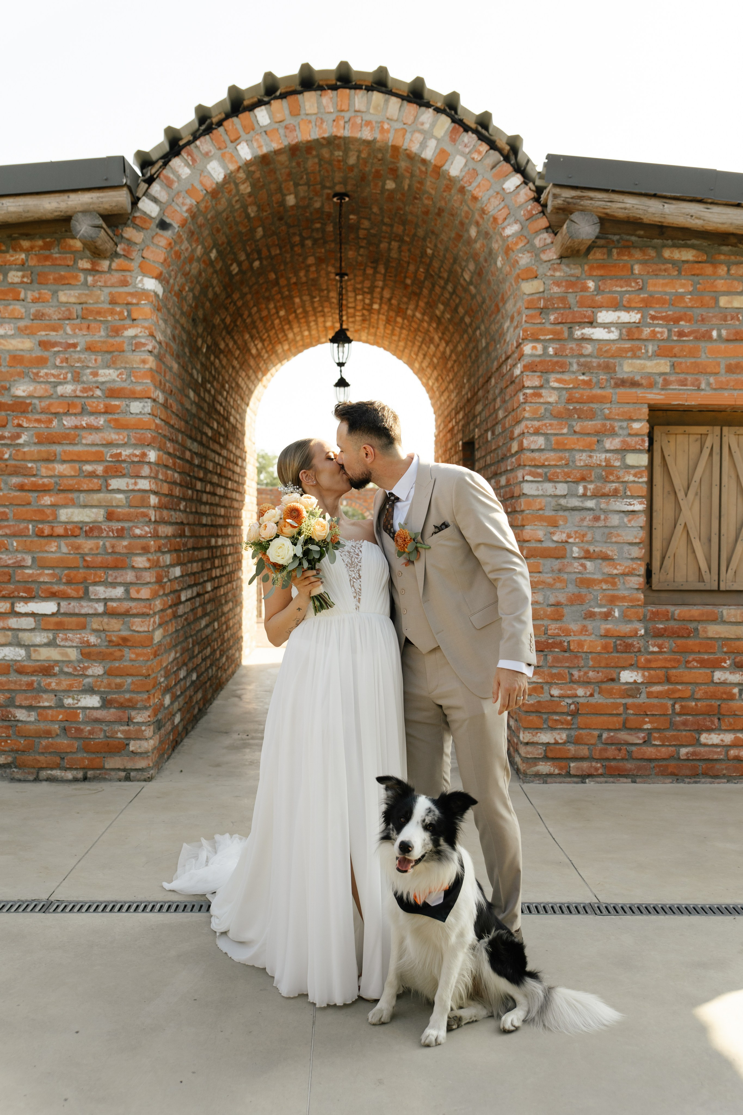 Wedding at Province Timisoara | Cristina & Robert. Wedding photographer and videographer based in Timisoara, Romania