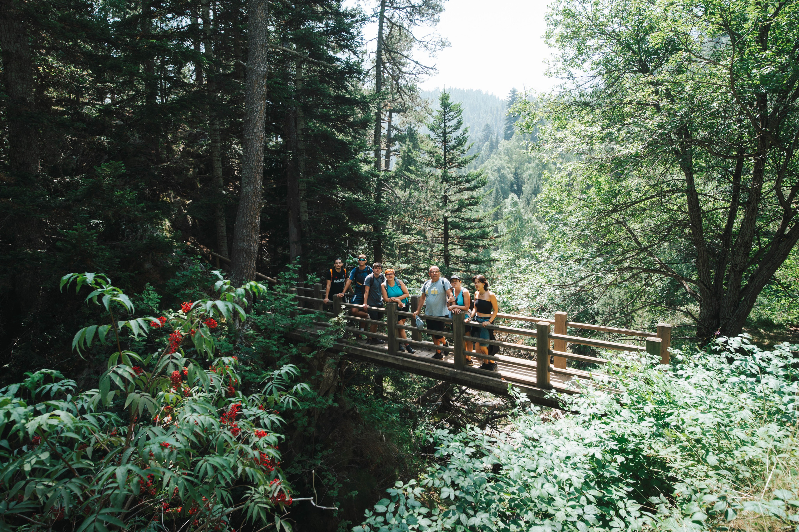 Parque Nacional de Aigüestortes y Estany de Sant Maurici. Alba del Norte Studio