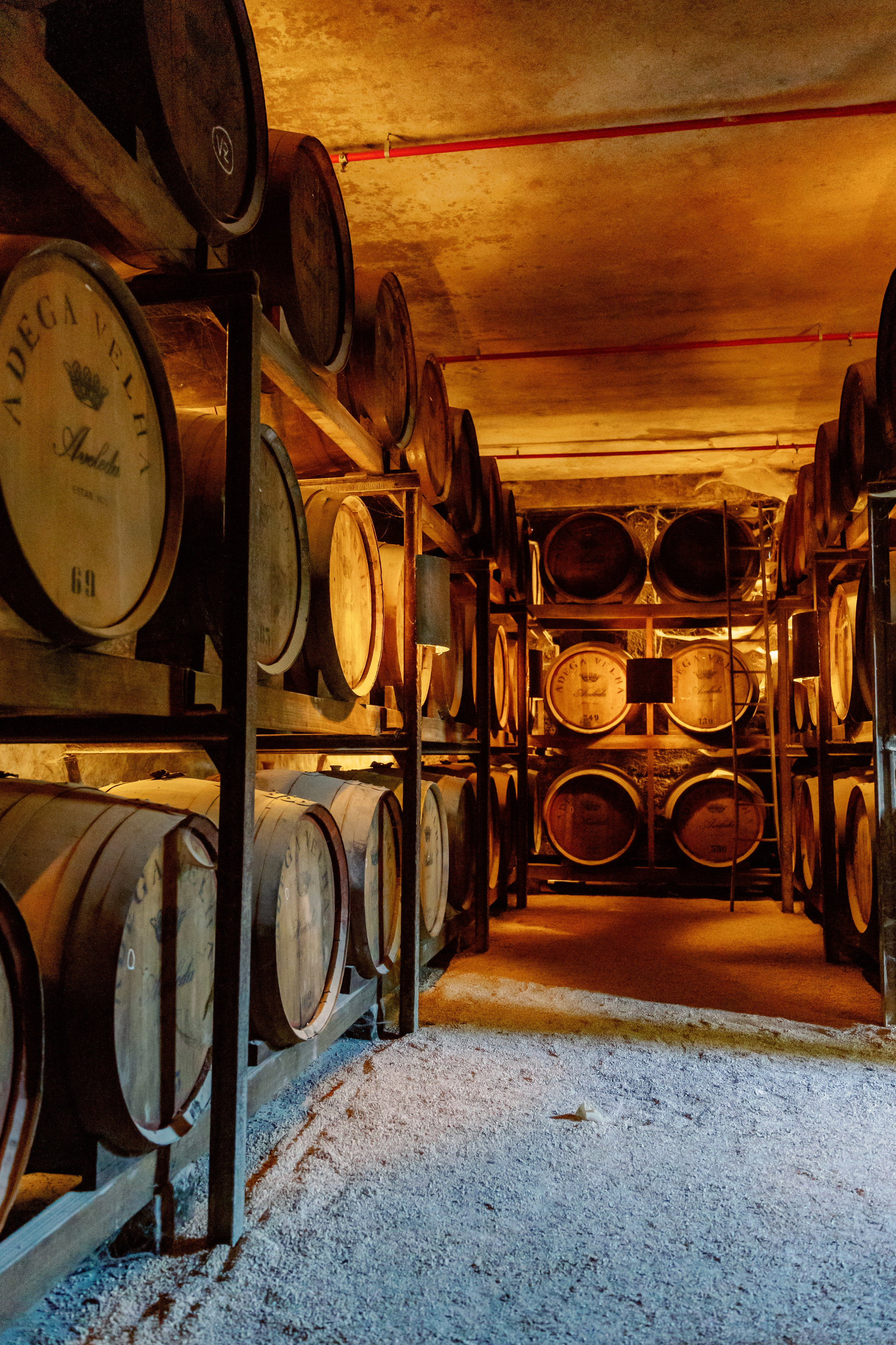 Винью Верде на ½ дня