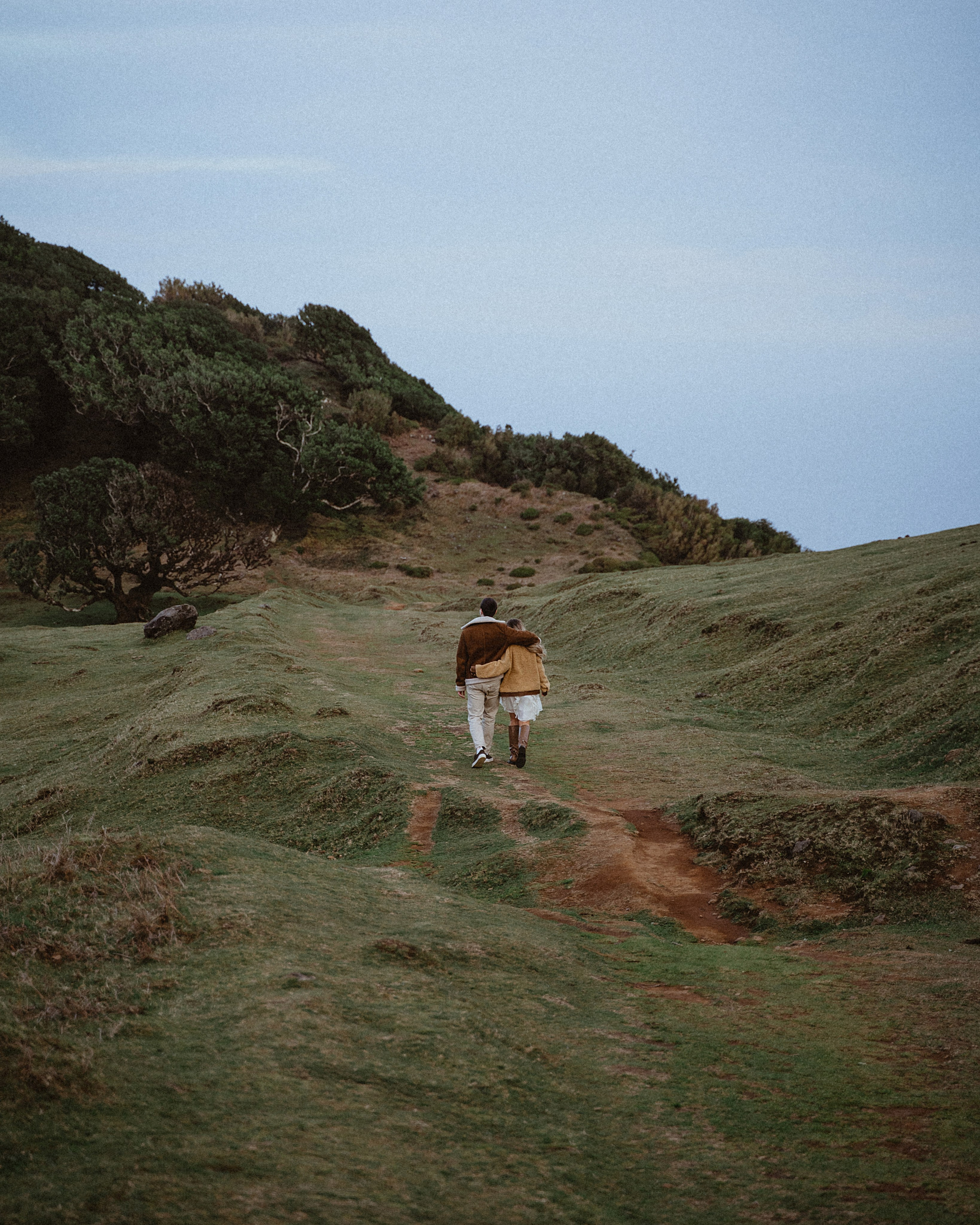 Love Story in Fanal Forest | Madeira Couple Photoshoot. Your photographer in Madeira
