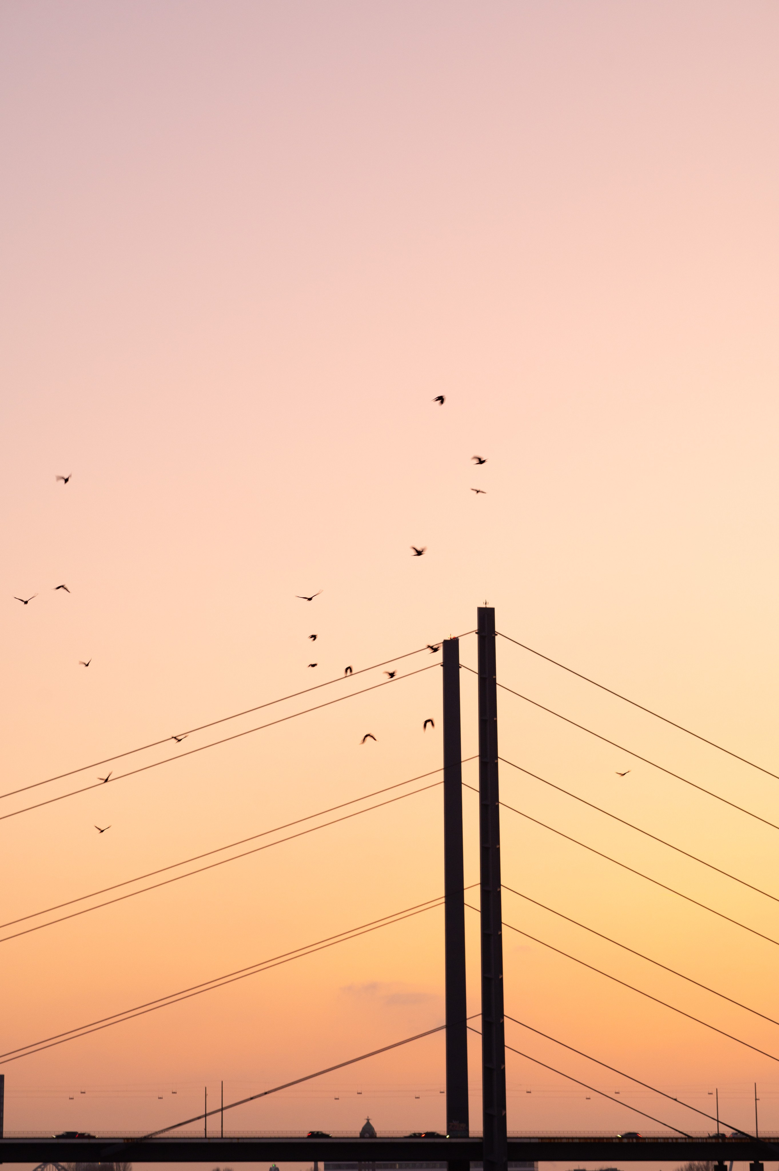 Because your love matters | City walk. Фотограф в Нюрнберге Ирина Менерт из Ансбаха