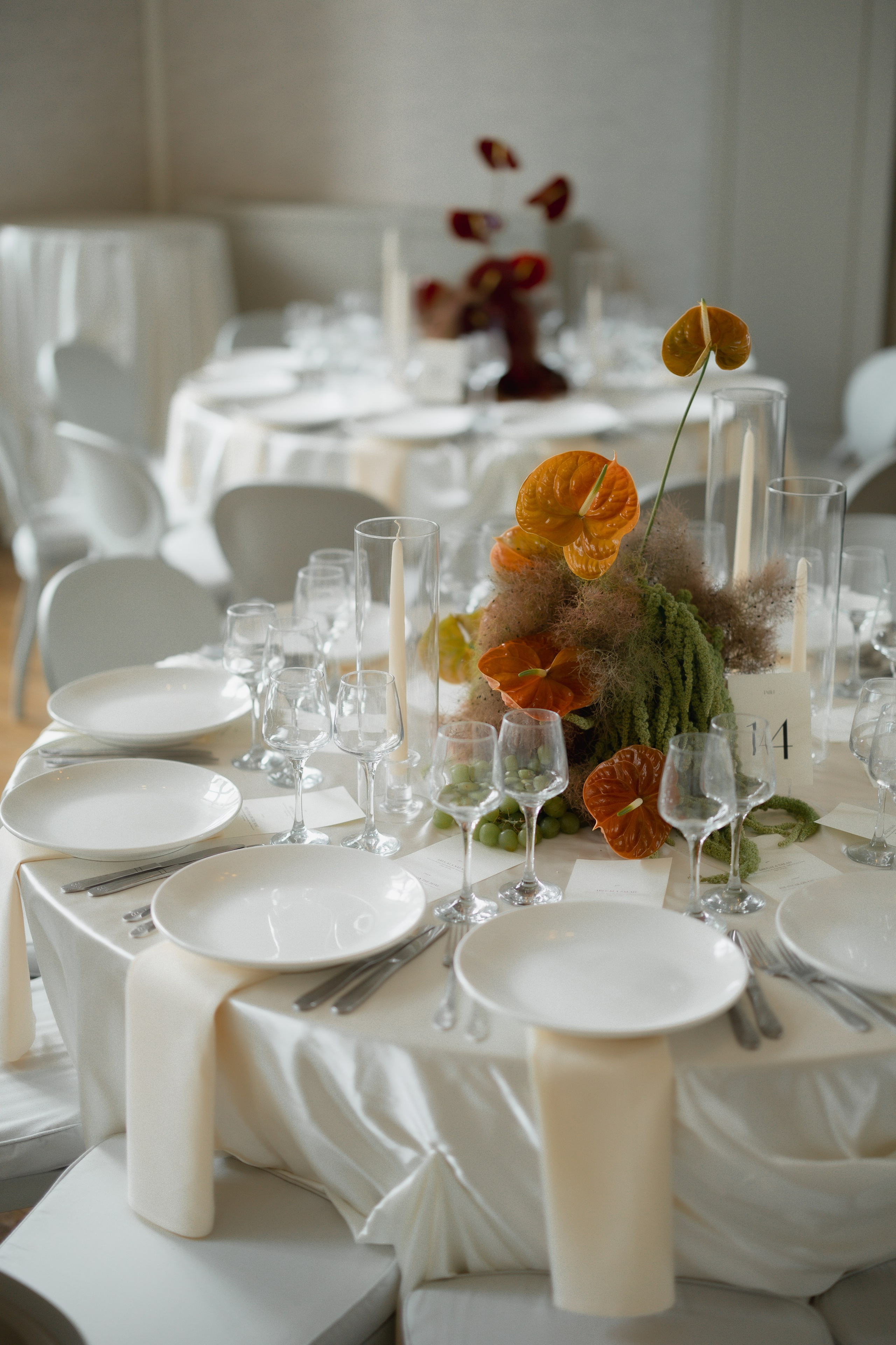 Amir and Maya. Anna Krasnova Wedding photographer