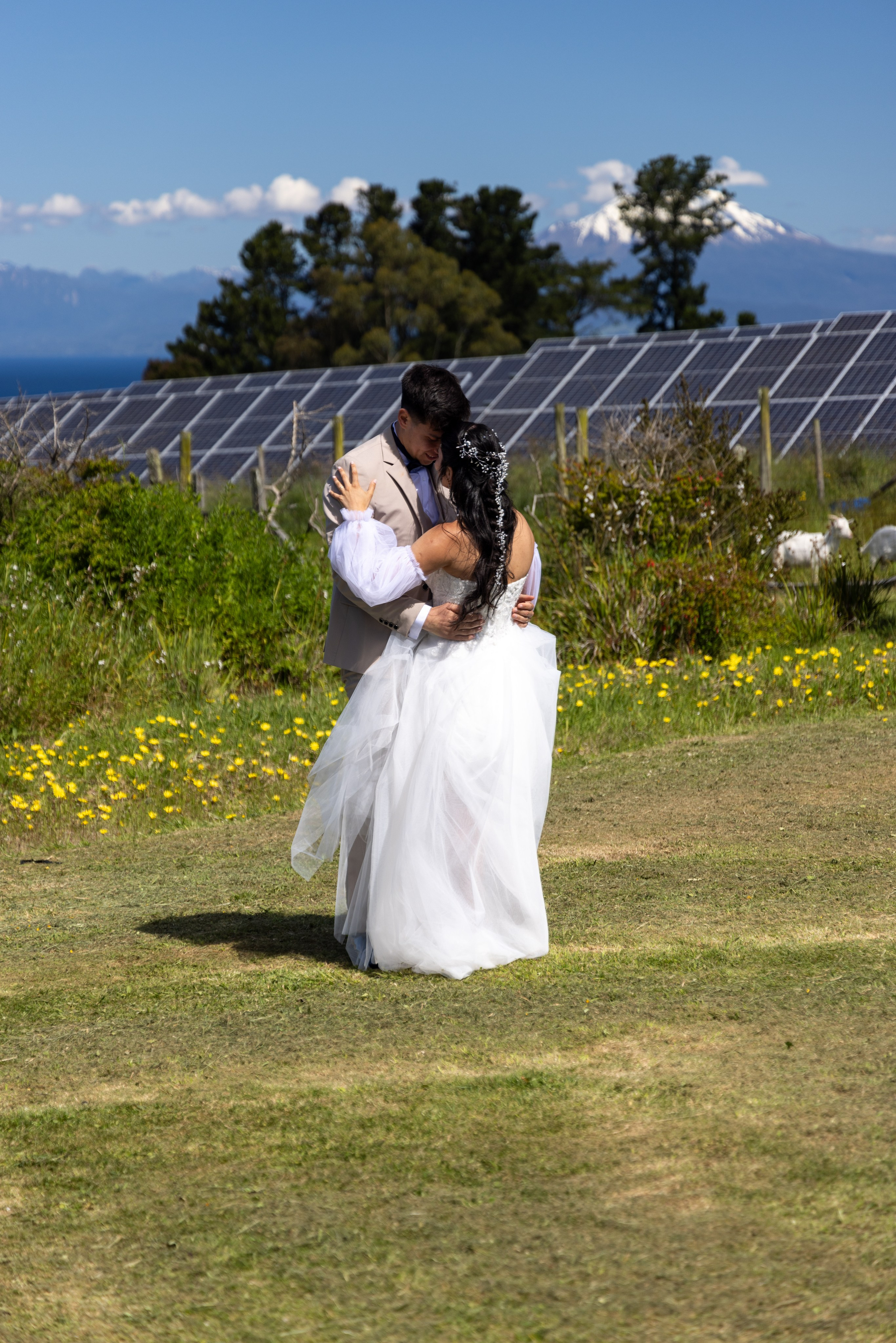 Carol & Ivo. Dinka & Emilio - El arte de preservar lo que no se repite